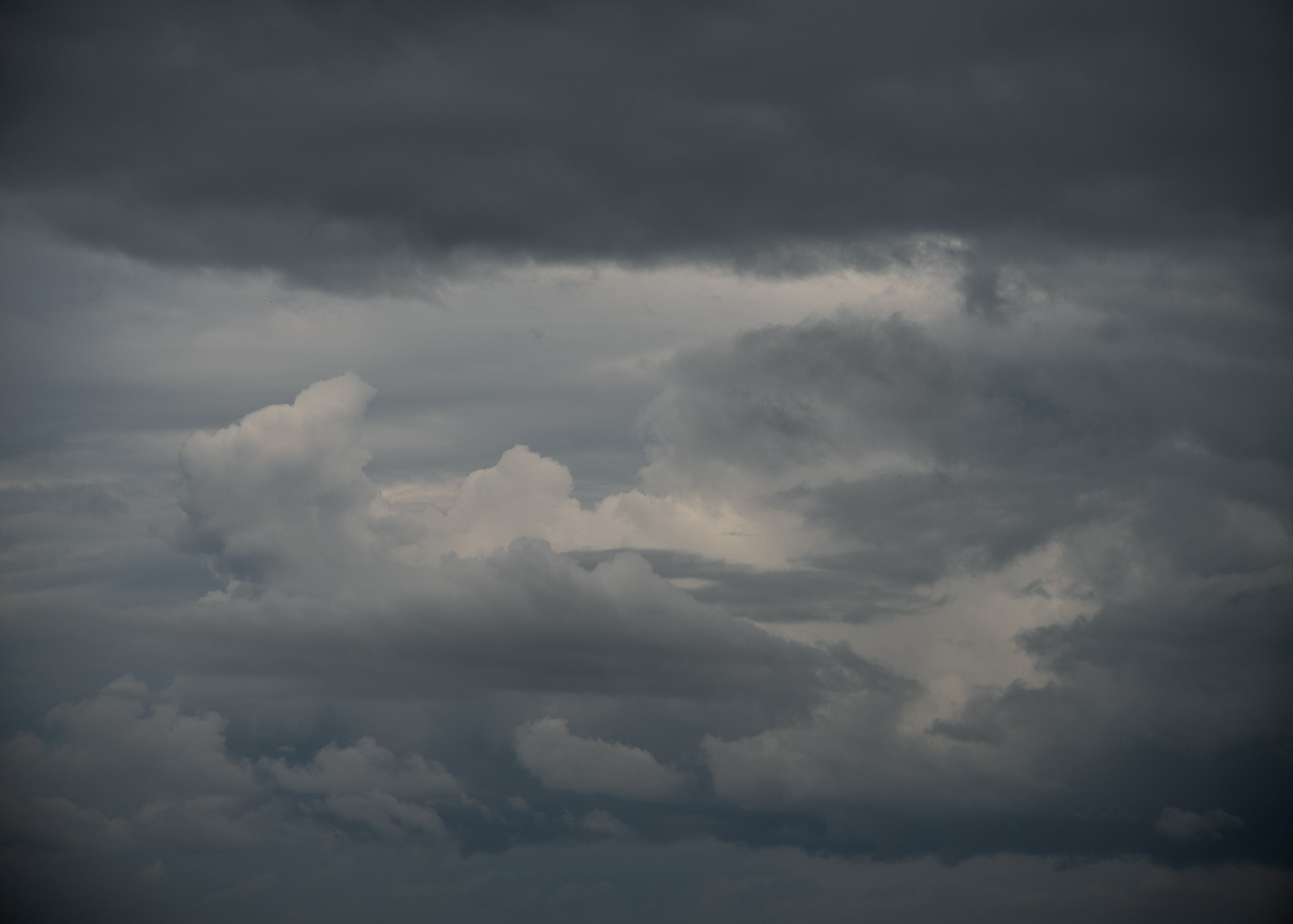 Formations. Пётр Антонов