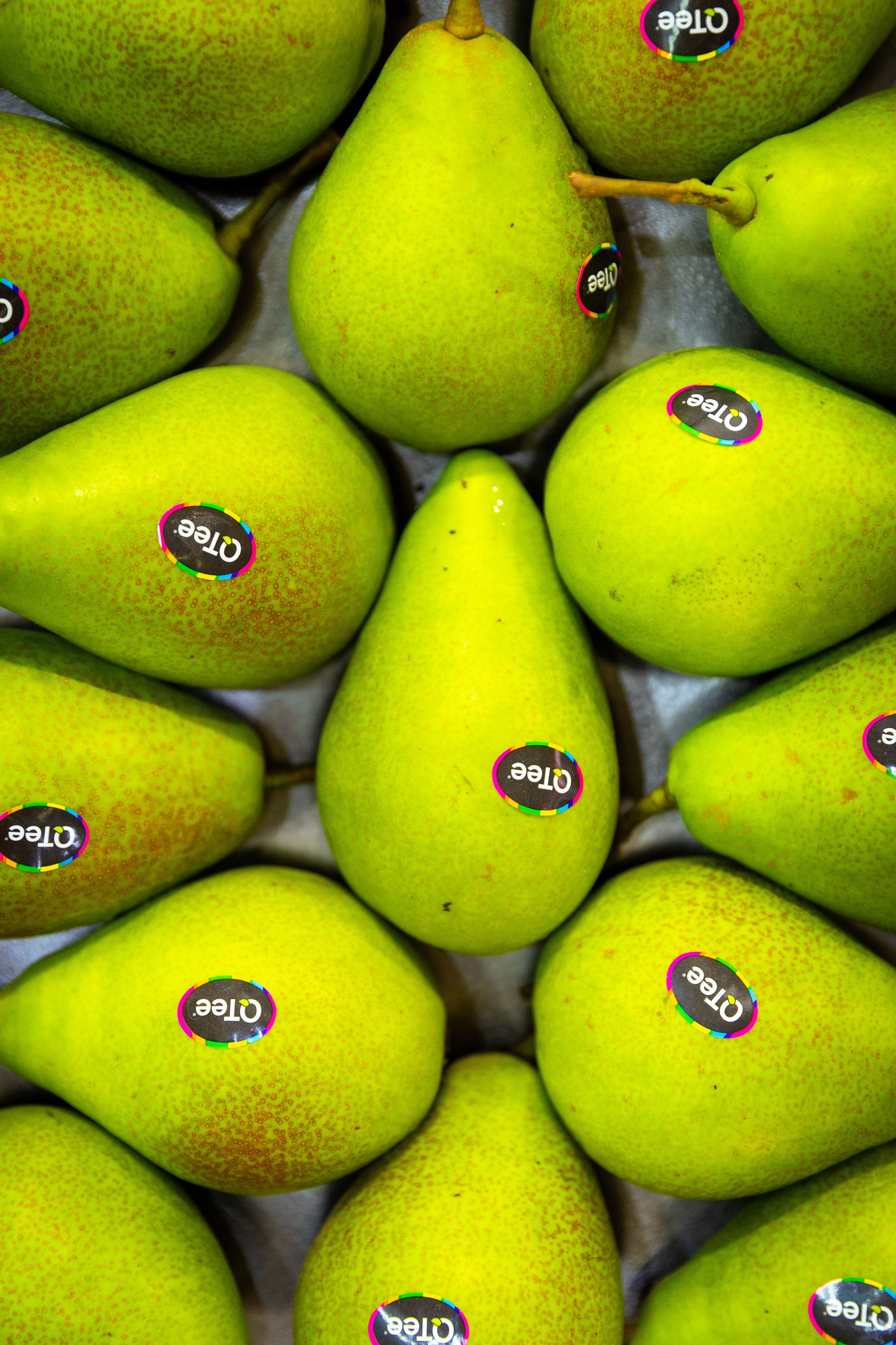 Asia Fruit Logistica [Гонконг 4–6 сентября 2024 г.]. Фотограф Виноградов Константин