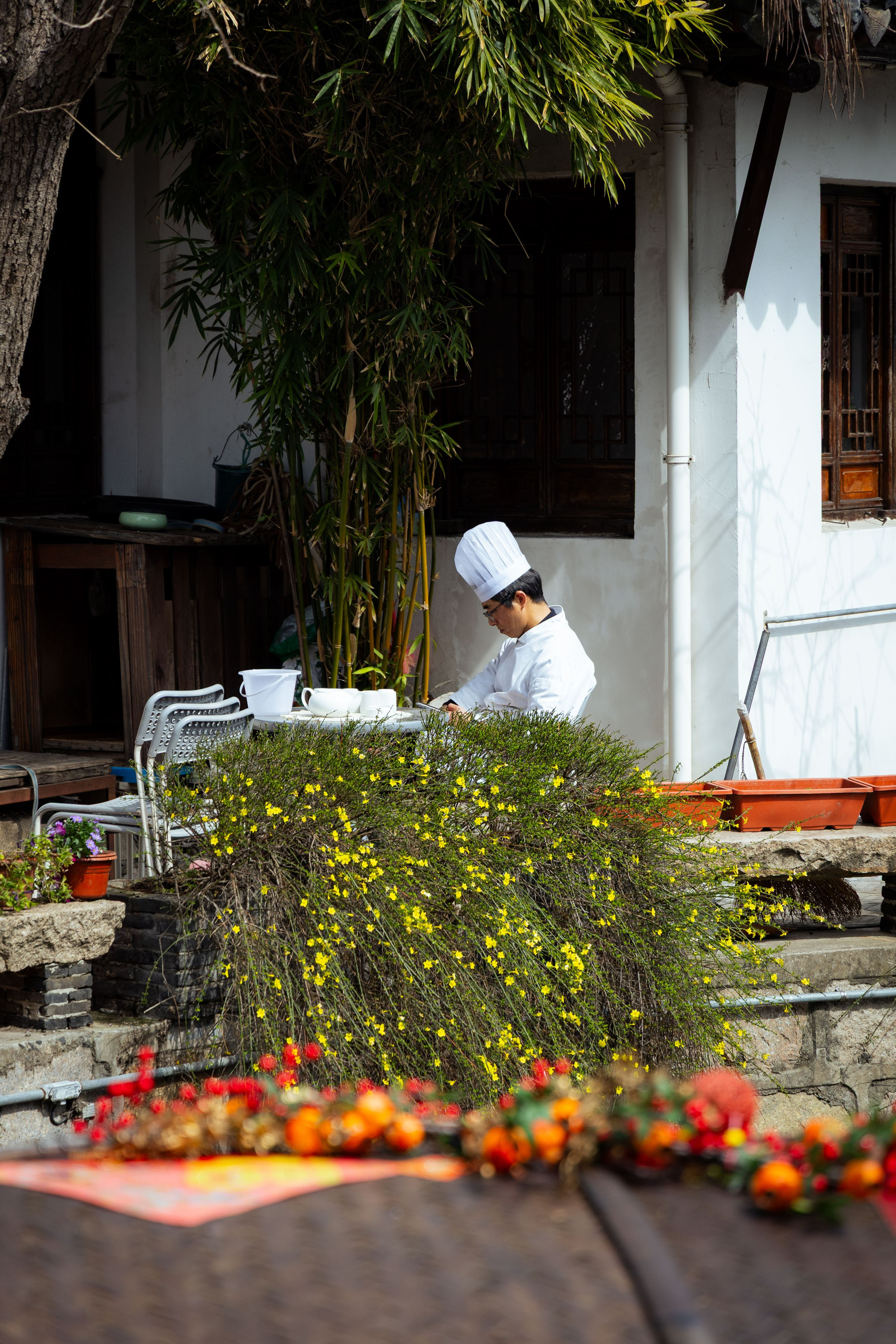 Шанхай (март 2026). Фотограф Виноградов Константин