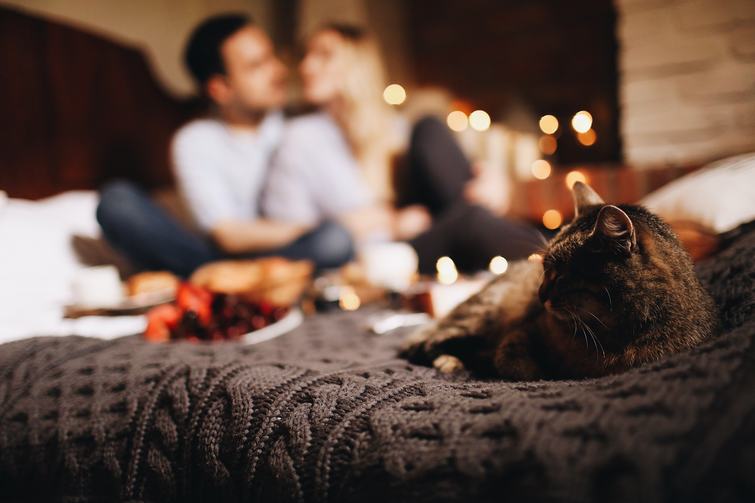 Фотогалерея мини-отеля «Таежный». Организация свадеб под ключ в Раменском