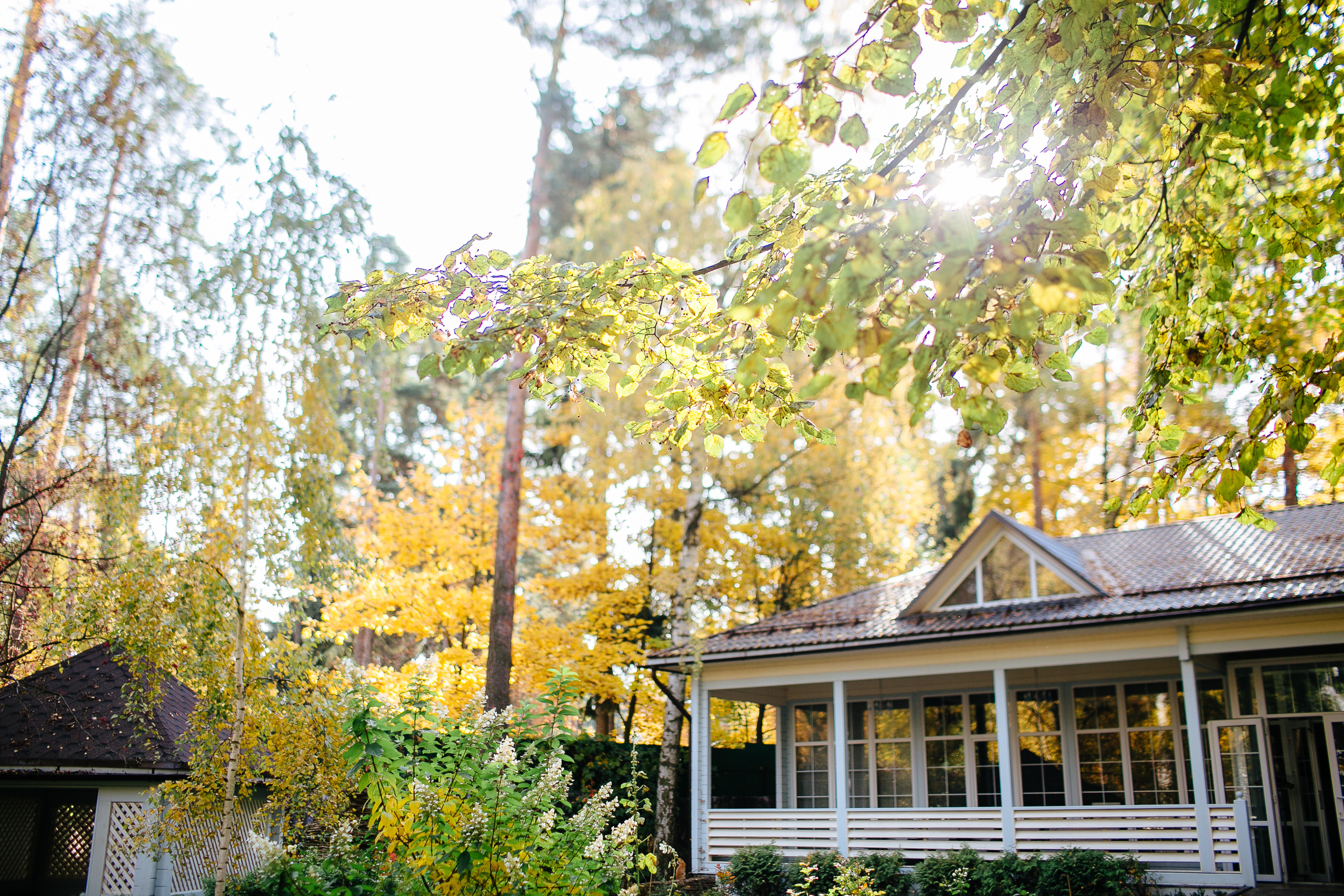 Свадьба Ивана и Ольги 3 октября 2019 года. Ведущий на свадьбу, корпоратив и юбилей в Москве Сергей Рябинин