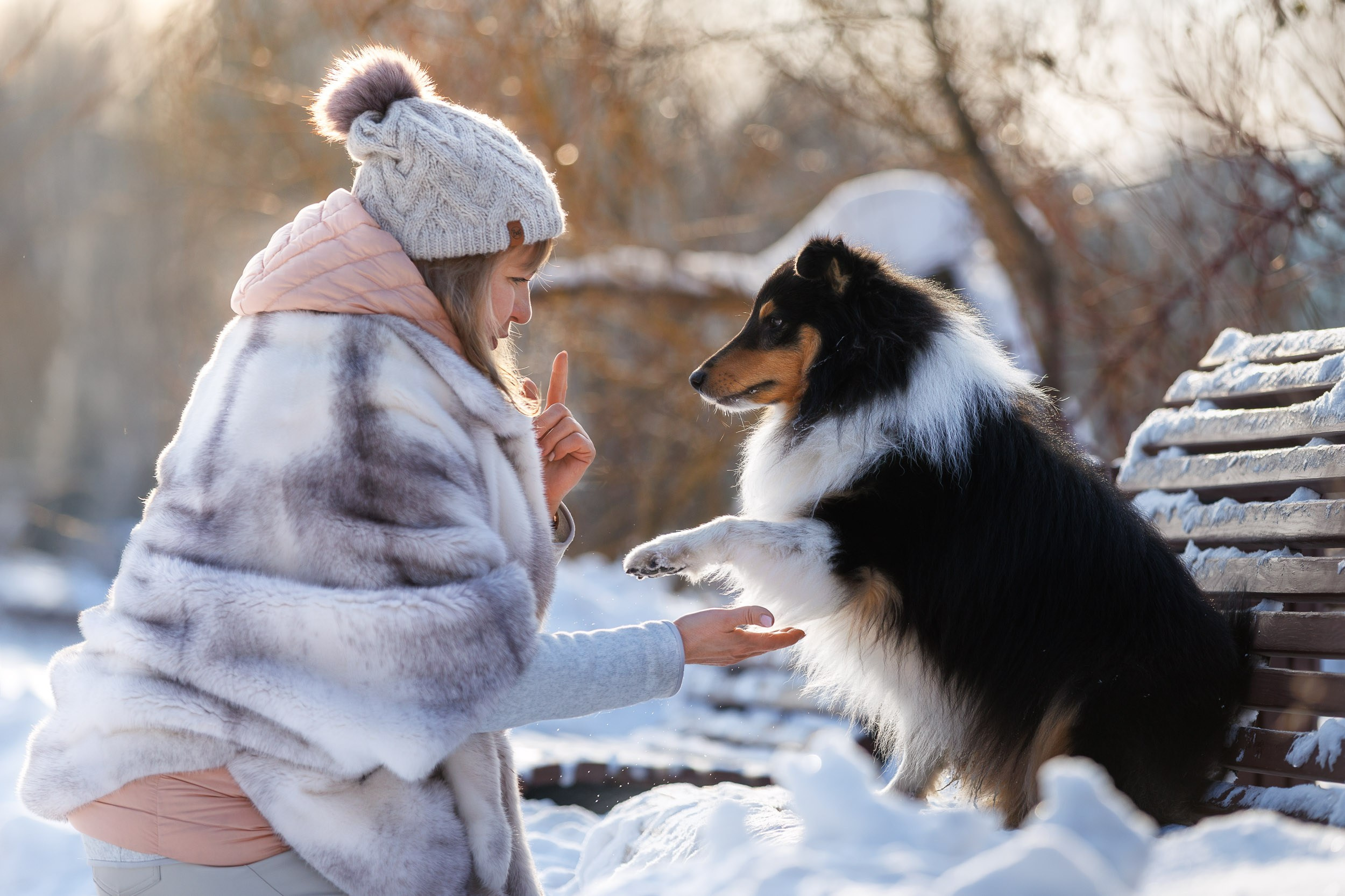Марик и Дэн. Фотограф-анималист в Москве и Московской области Татьяна Фролова