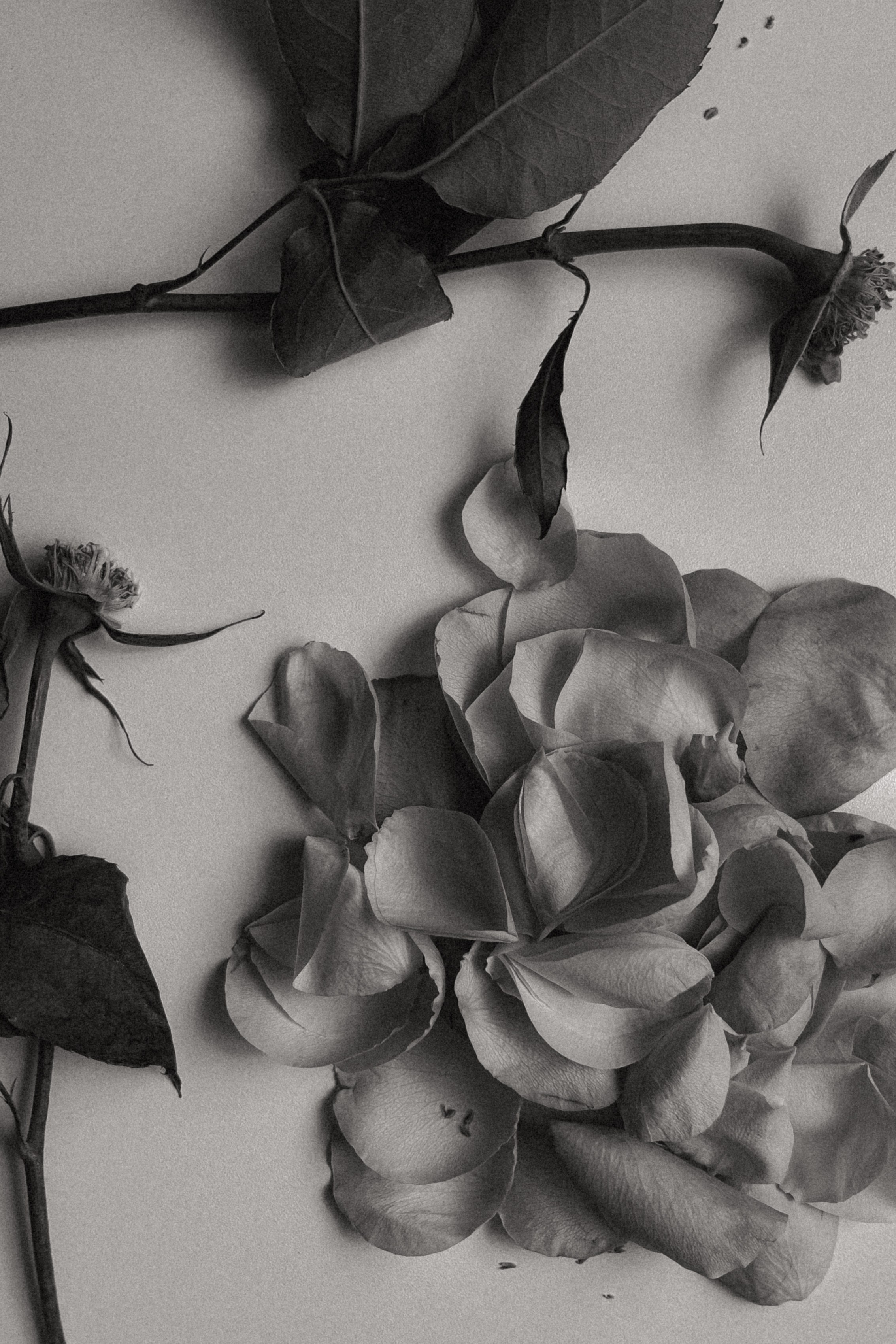 МОИМИ ГЛАЗАМИ. Nuga_visual