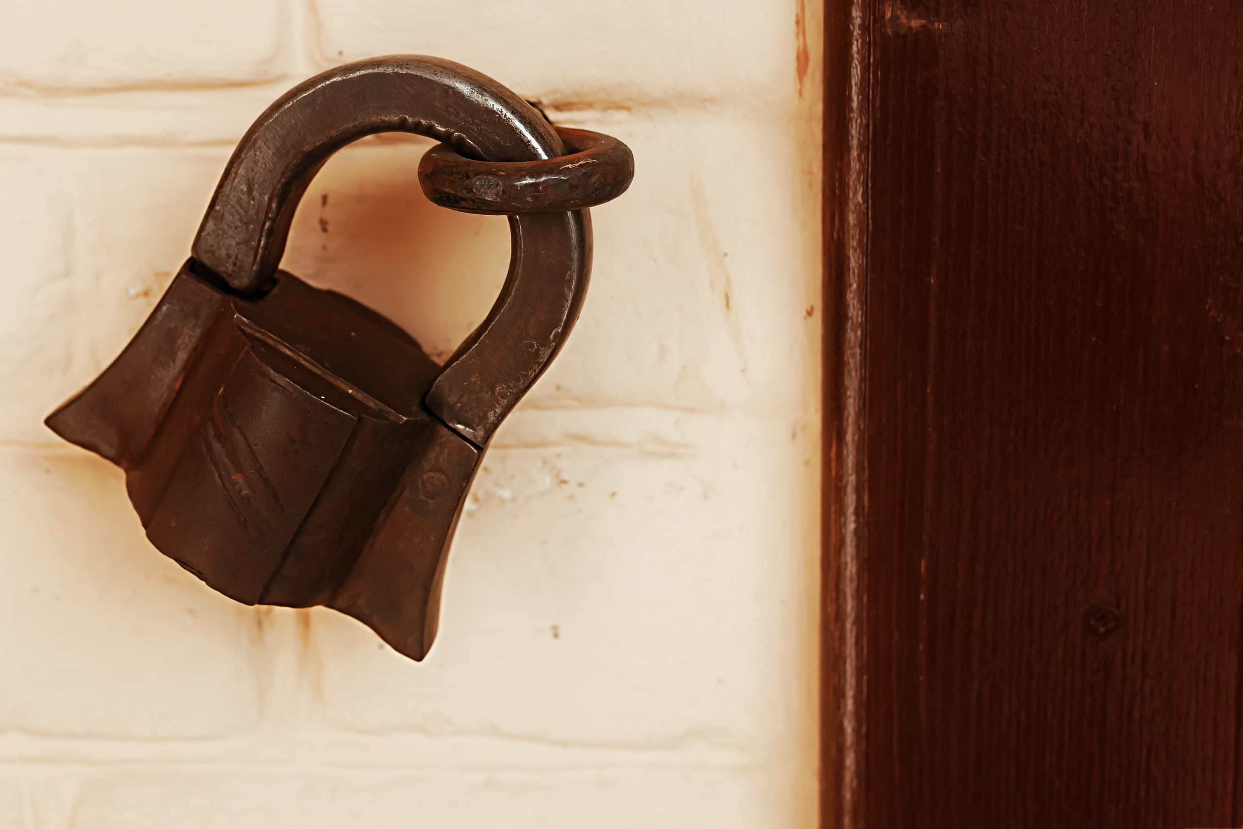 Тарханы. Съемка Таинств Крещения Венчания, детские и семейные съемки в Пензе