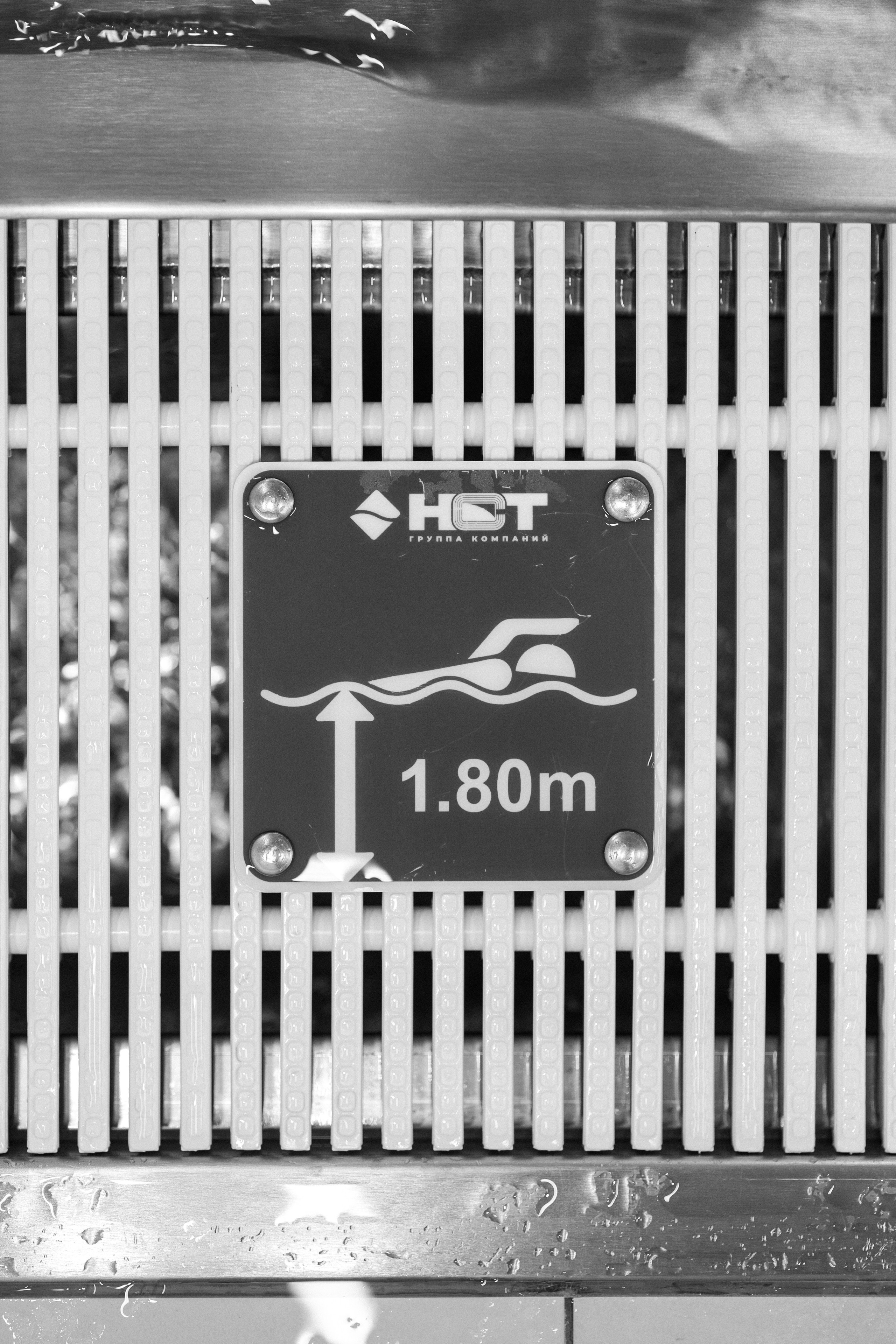 Яндекс team — контрольный заплыв. Фотограф Александр Тулупов