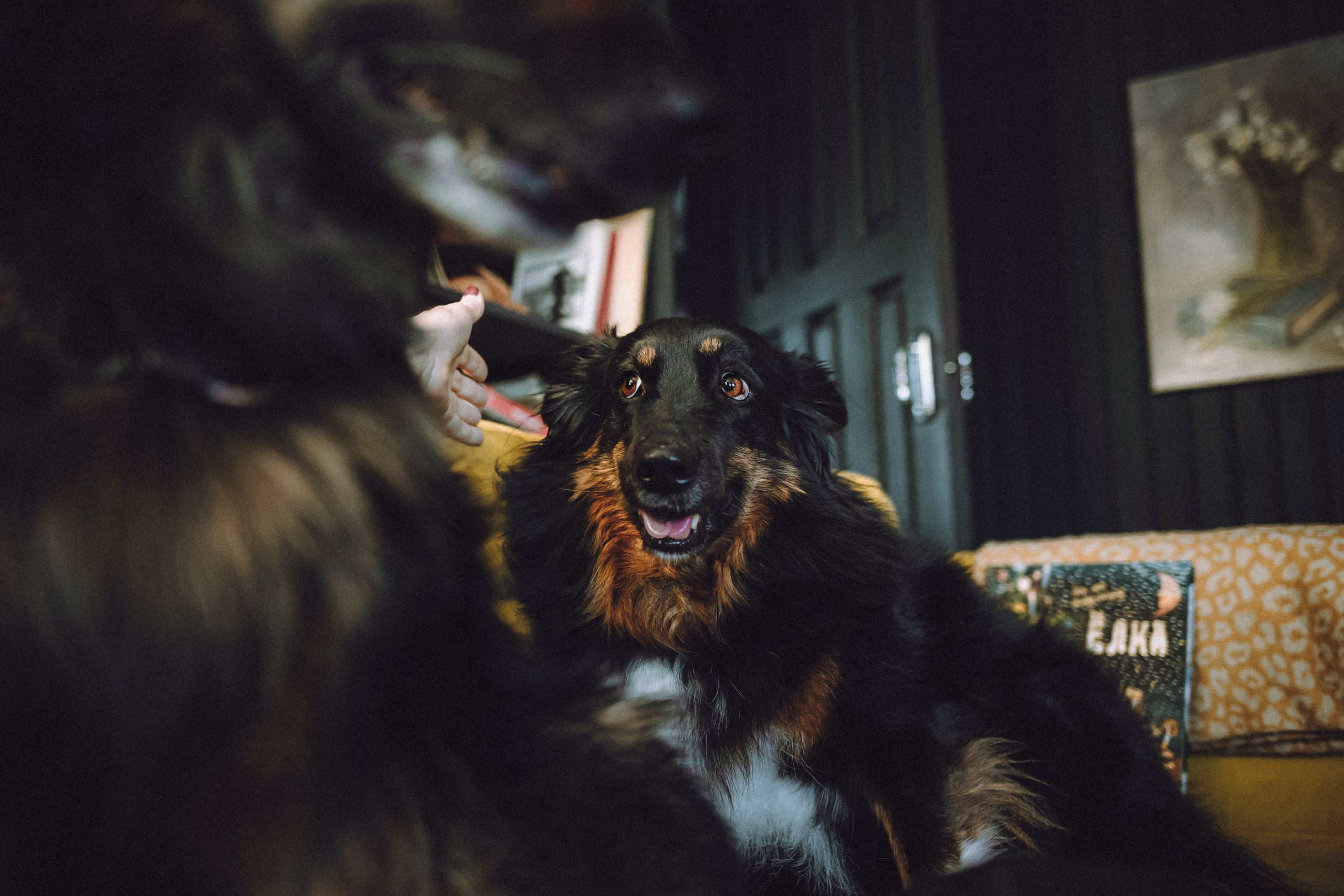 Плюш, Айса и их семья