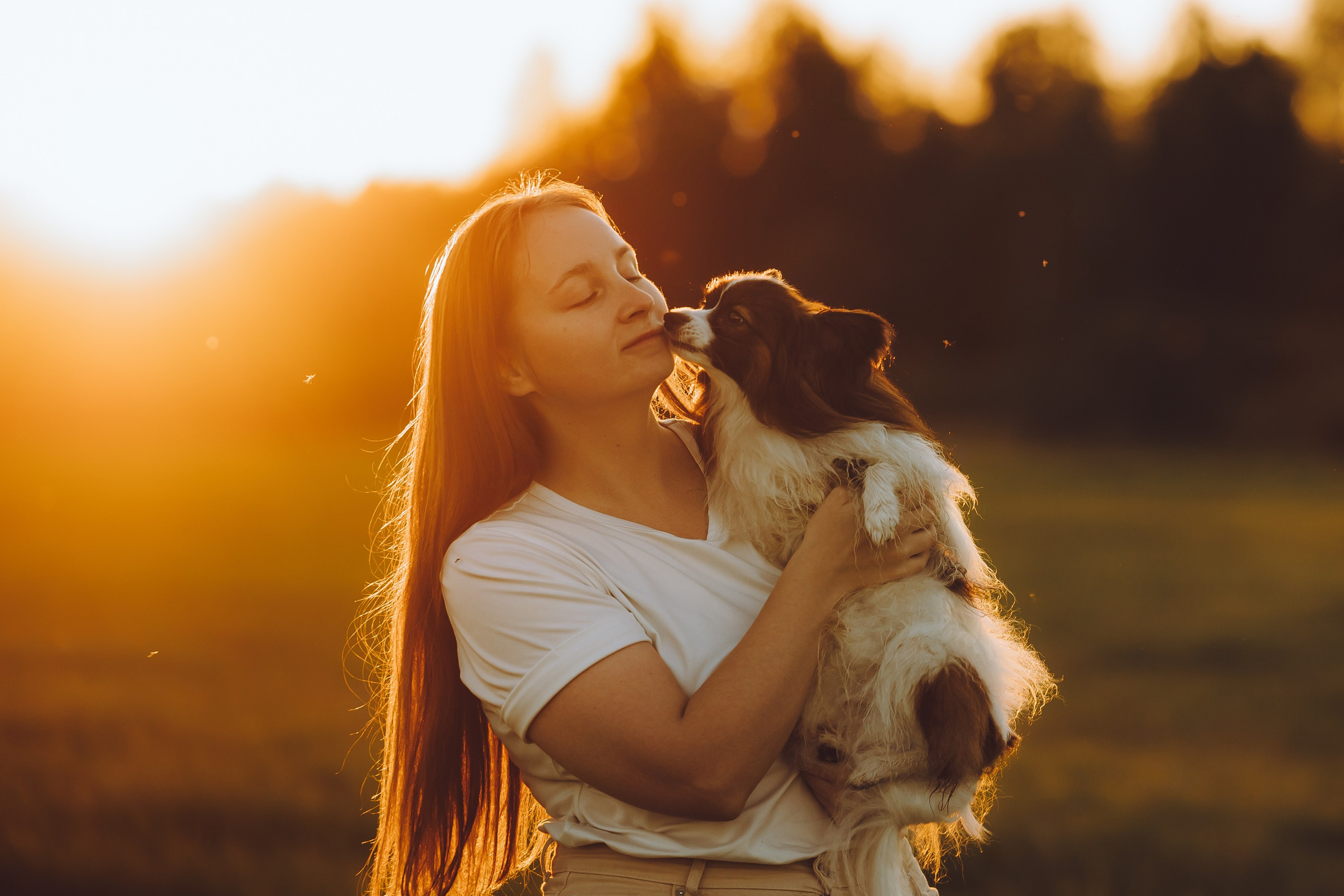 Выездной дог-тренинг от школы «Шерсть имею», Тованово