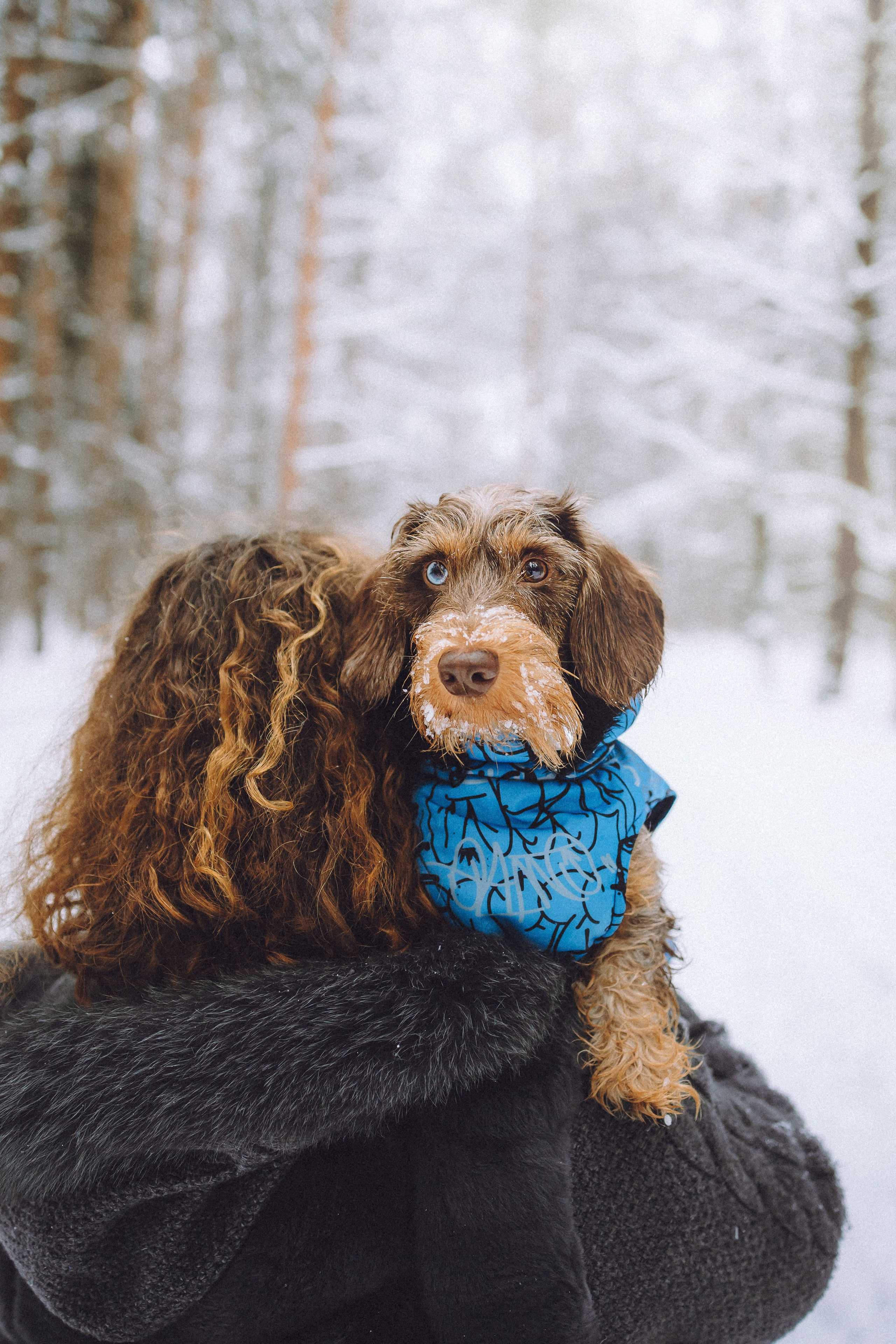 Каспер и его семья