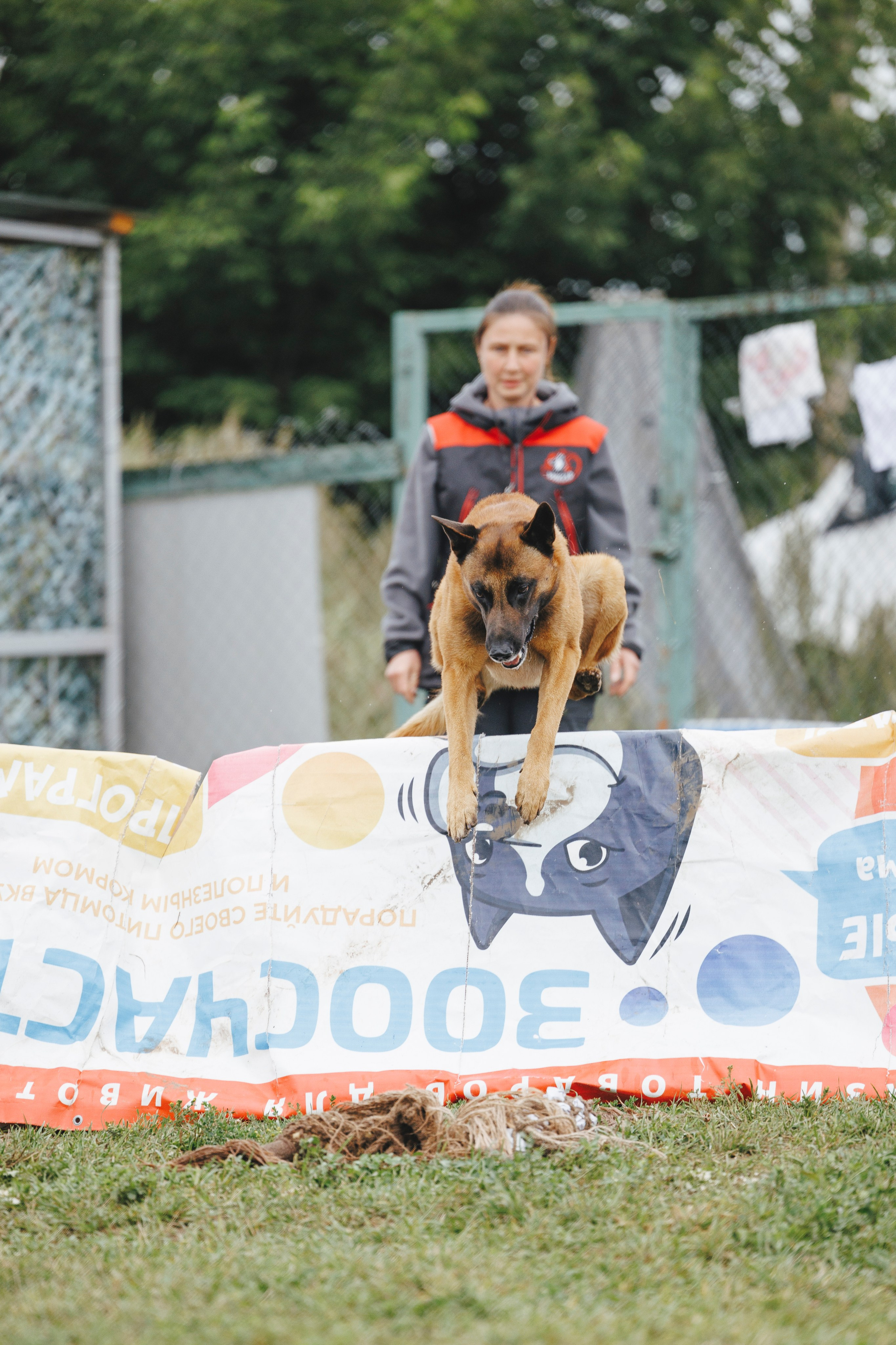 08.08.25-10.08.25 ЧР по мондьорингу г. Вологда. Фотограф-анималист Анна Маринич