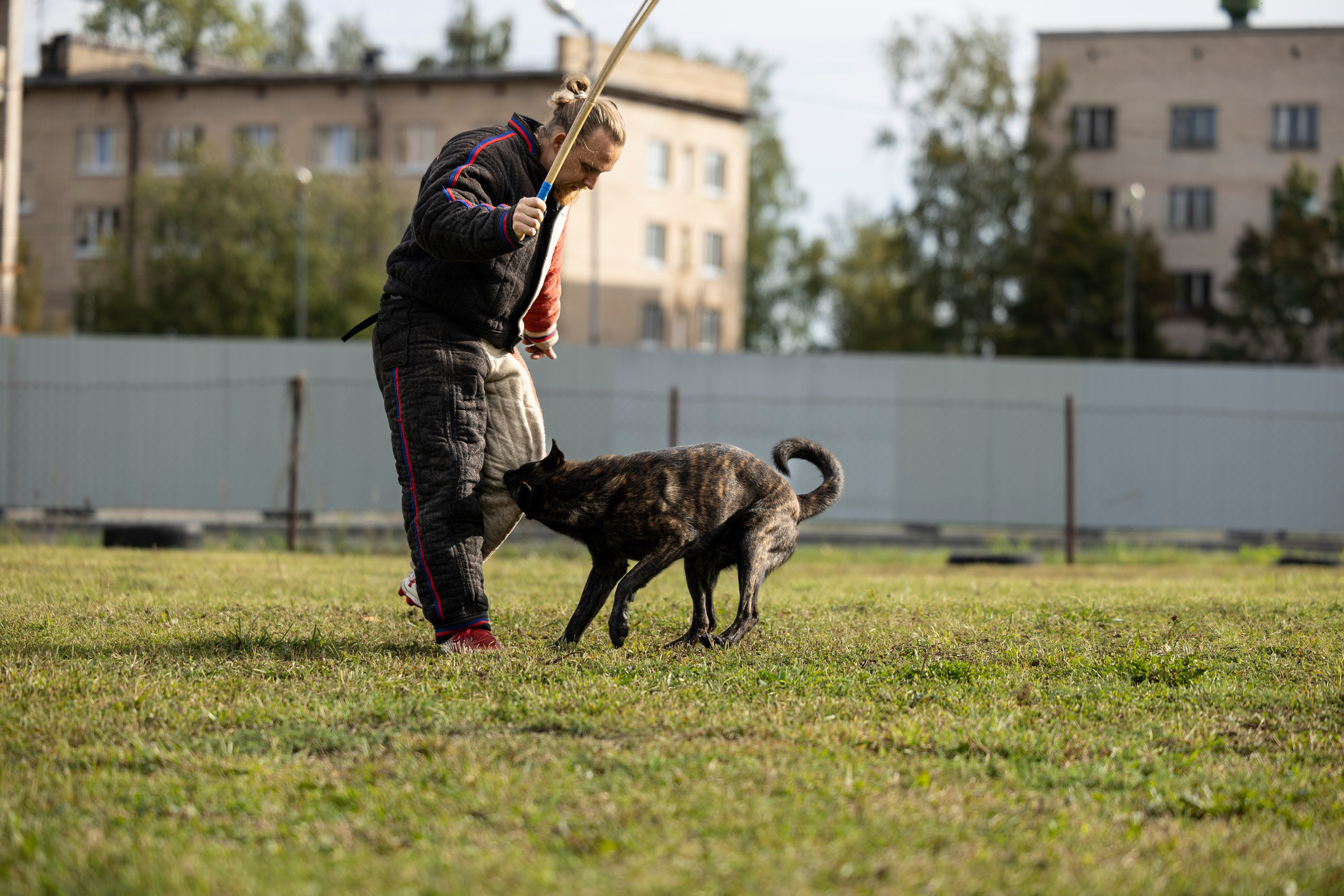 Испытания по Мондьорингу г. Пушкин. Фотограф-анималист Анна Маринич