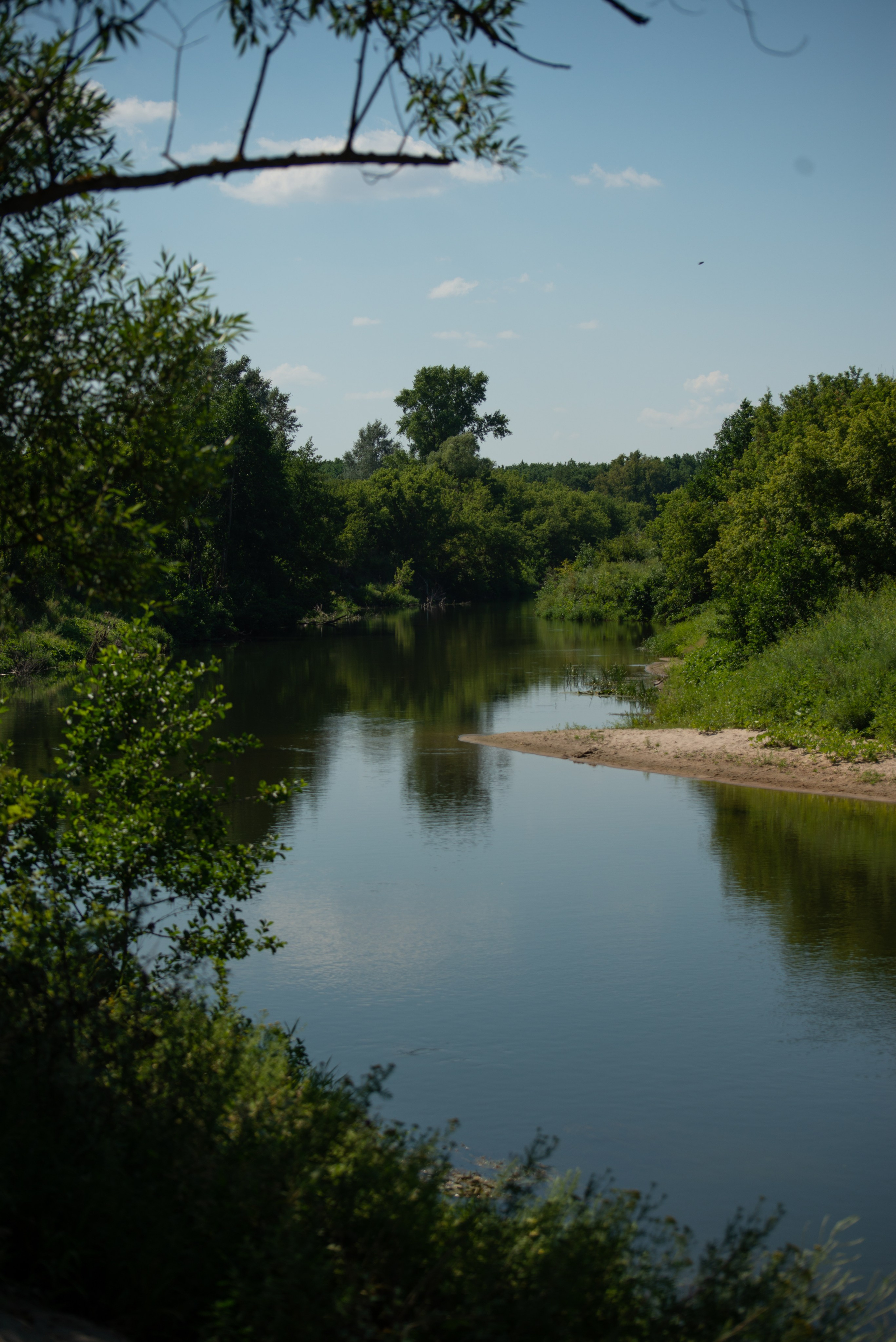 Купала в Родославном. Конный фотограф в Саратове Юлия Иванова