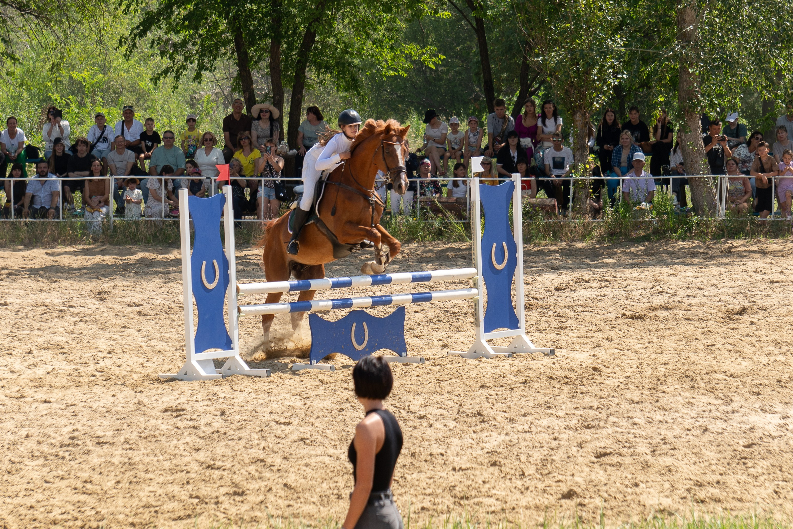 Соревнования по конкуру, Луганск. Фотограф в РФ и ЛНР Юлия Федосеева