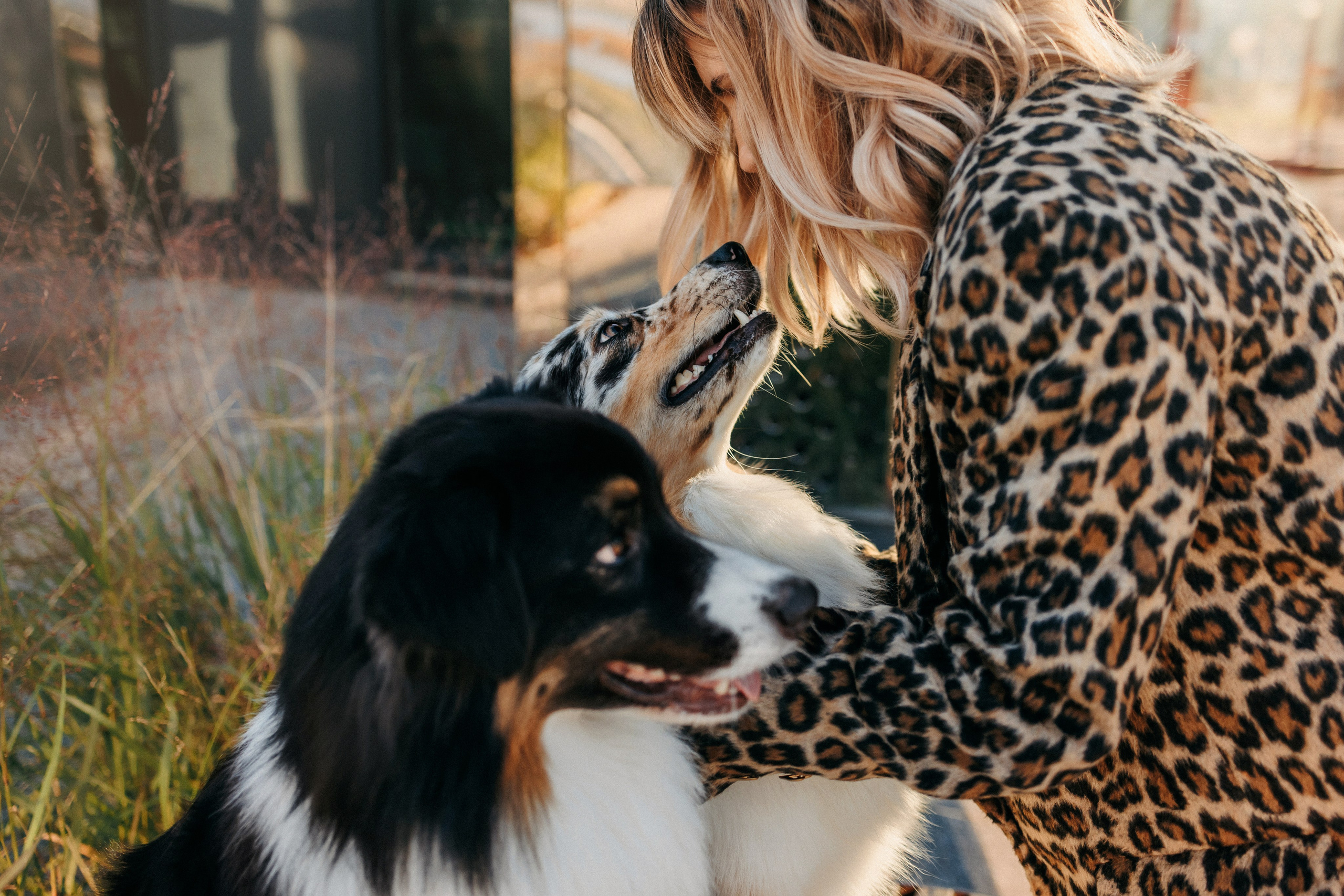 Аня, Чарли и Ева. Фотограф-анималист Елена Радченко, Москва