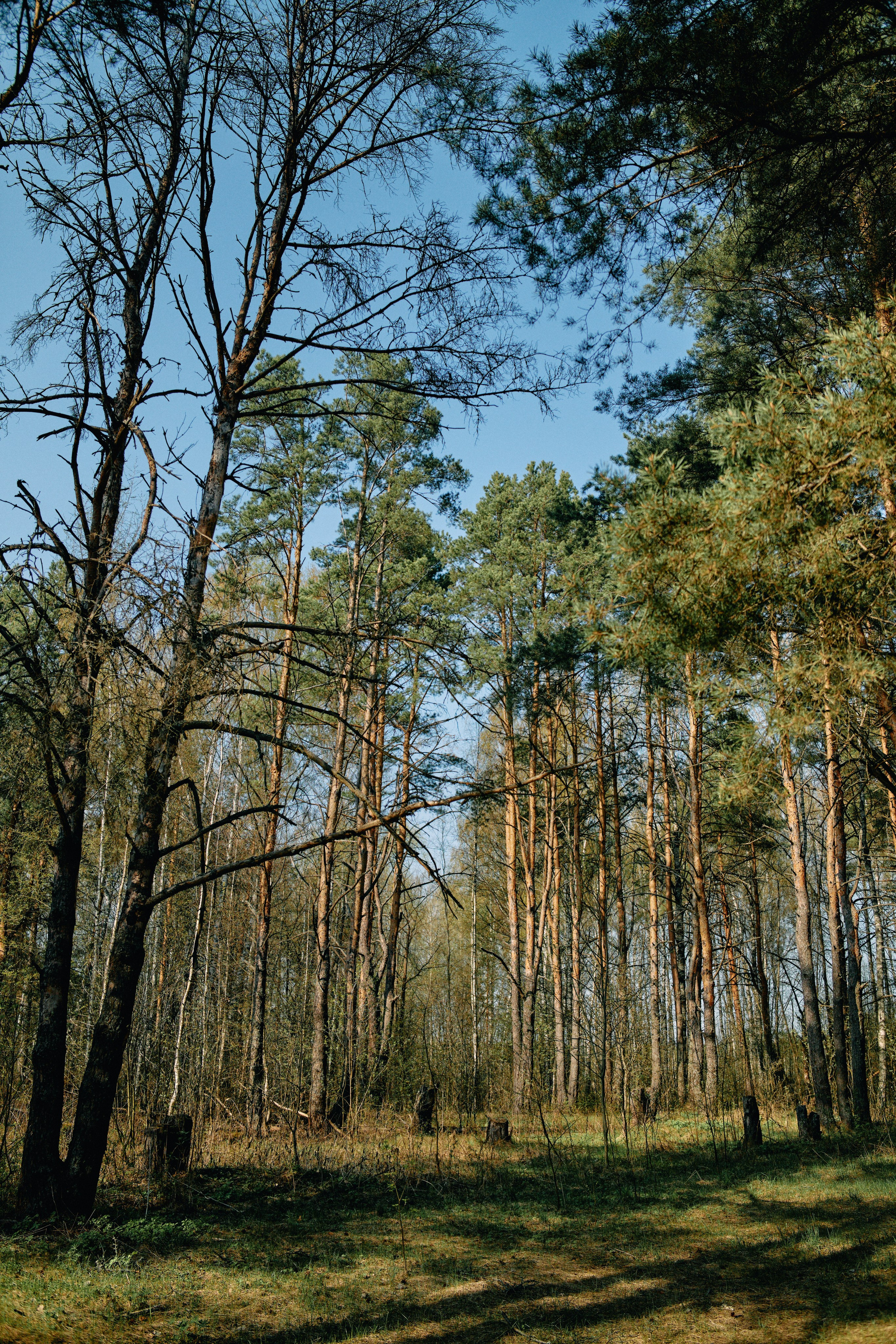 Бутик-отель Поле летом. Профессиональный Фотограф во Владимире, в Москве и в Суздале — Полина Романычева