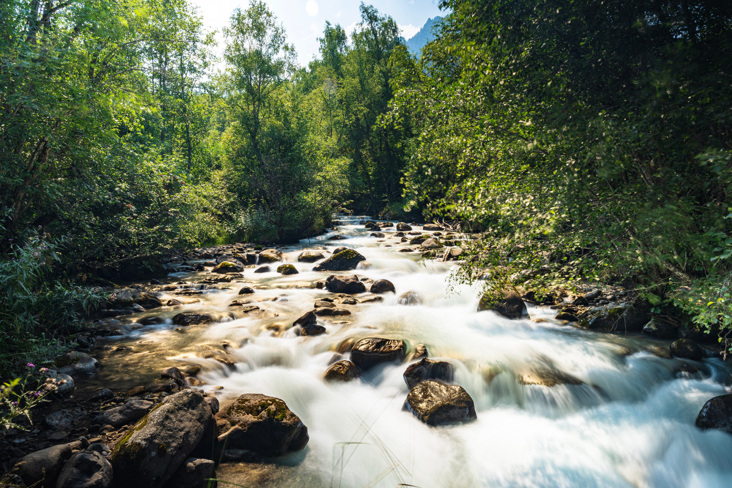 Экспедиция 2024