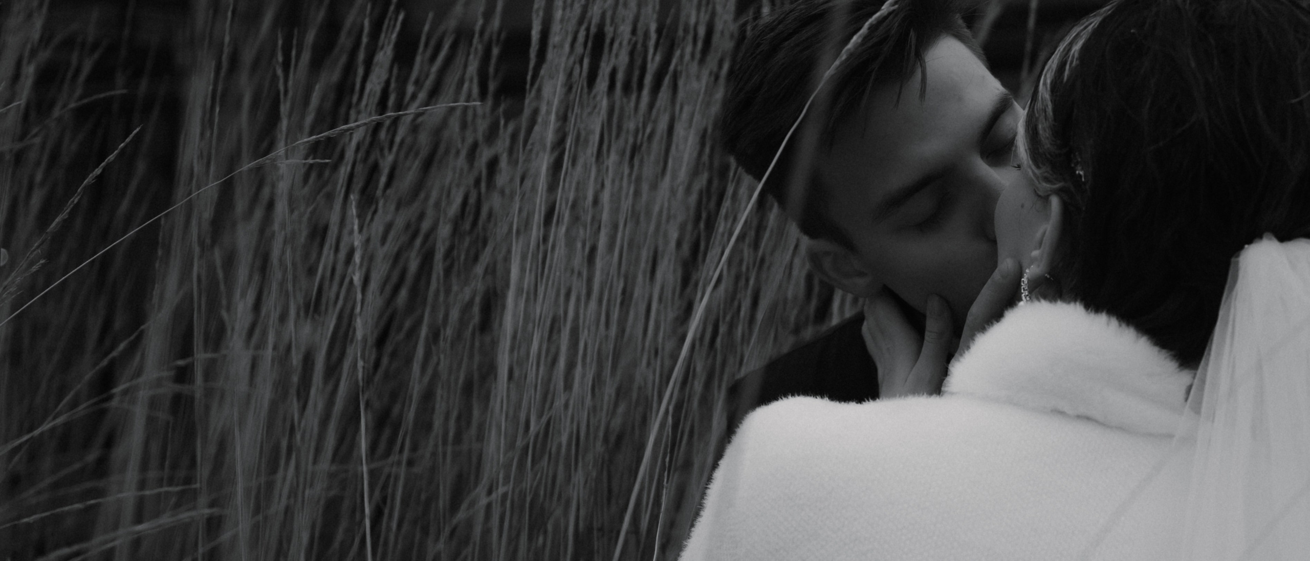 Екатерина и Ренат. Ваш свадебный и семейный фотограф