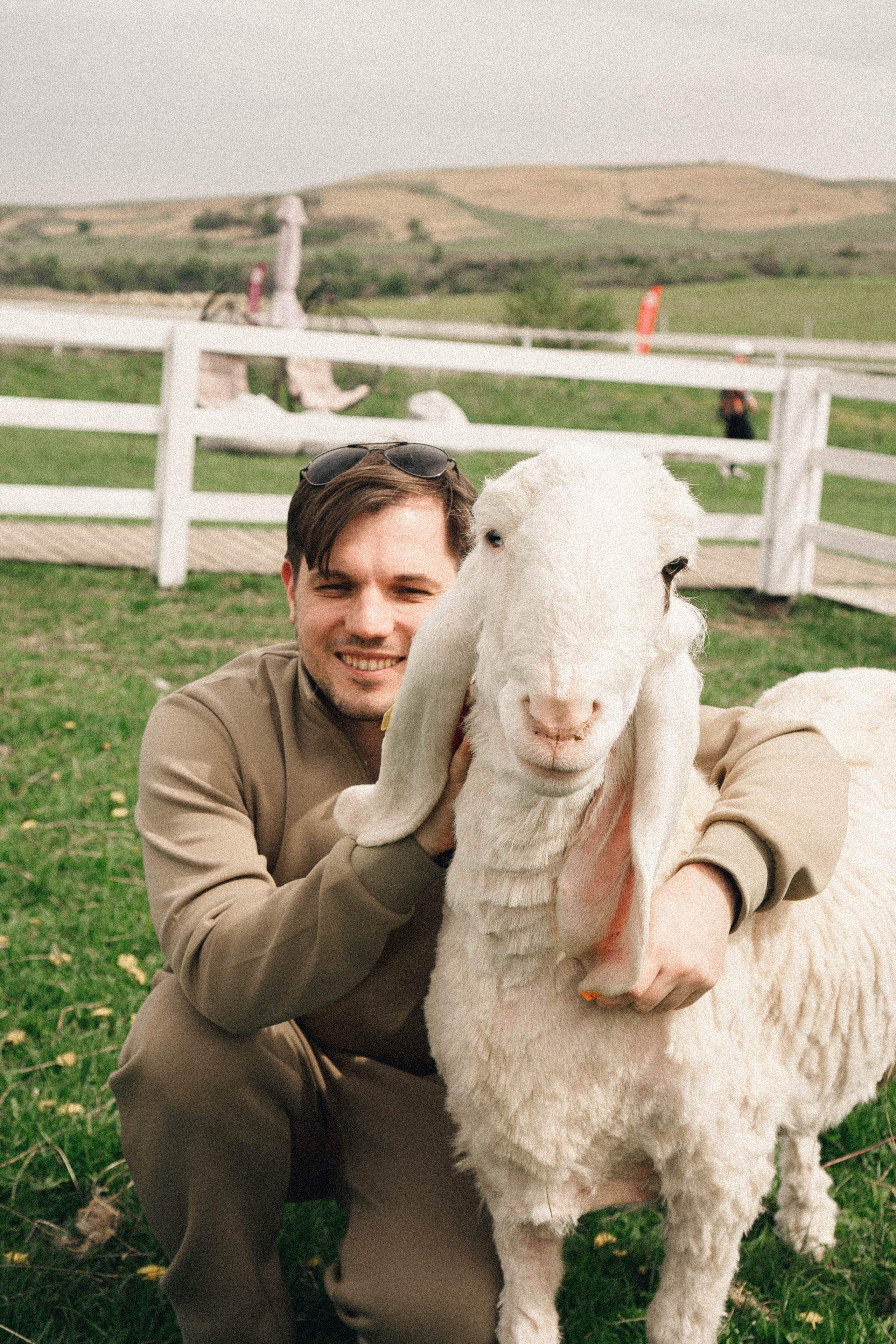 Ферма Альпак. Профессиональный фотограф, Санкт-Петербург — Виктория Богомолова