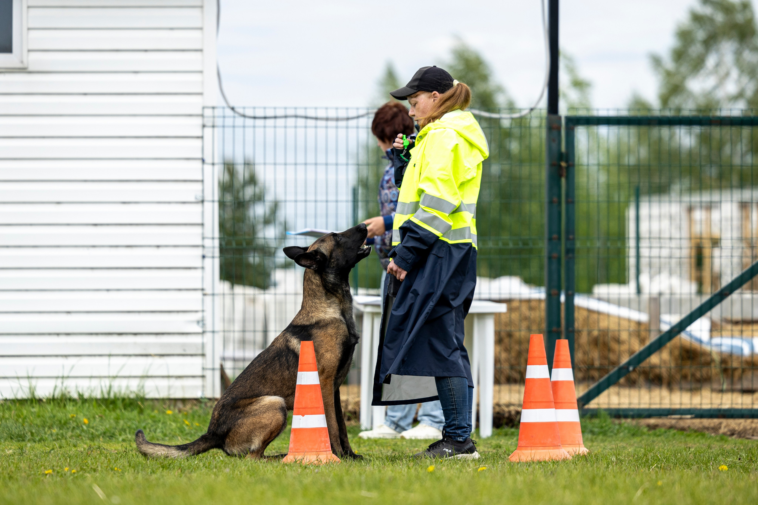 Испытания по мондьорингу в Нижнем Новгороде. Фотограф-анималист Анна Маринич