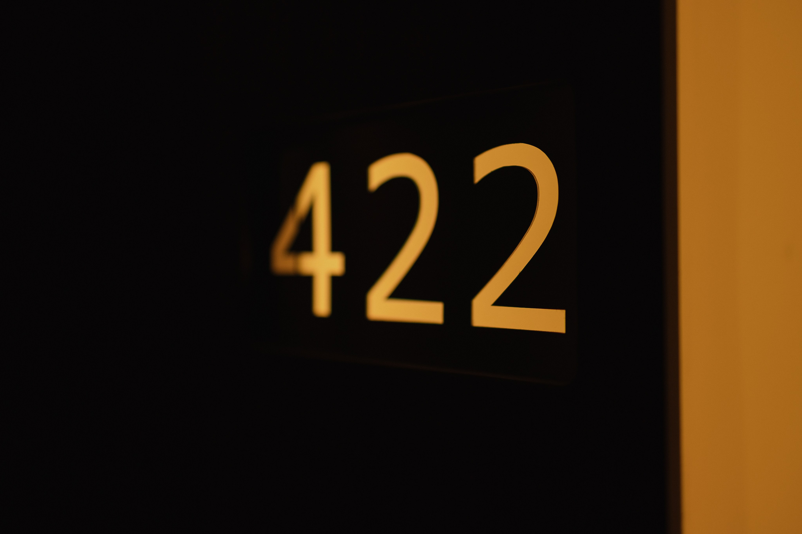 S&E. Свадебный фотограф Лиза Макатович Беларусь Минск