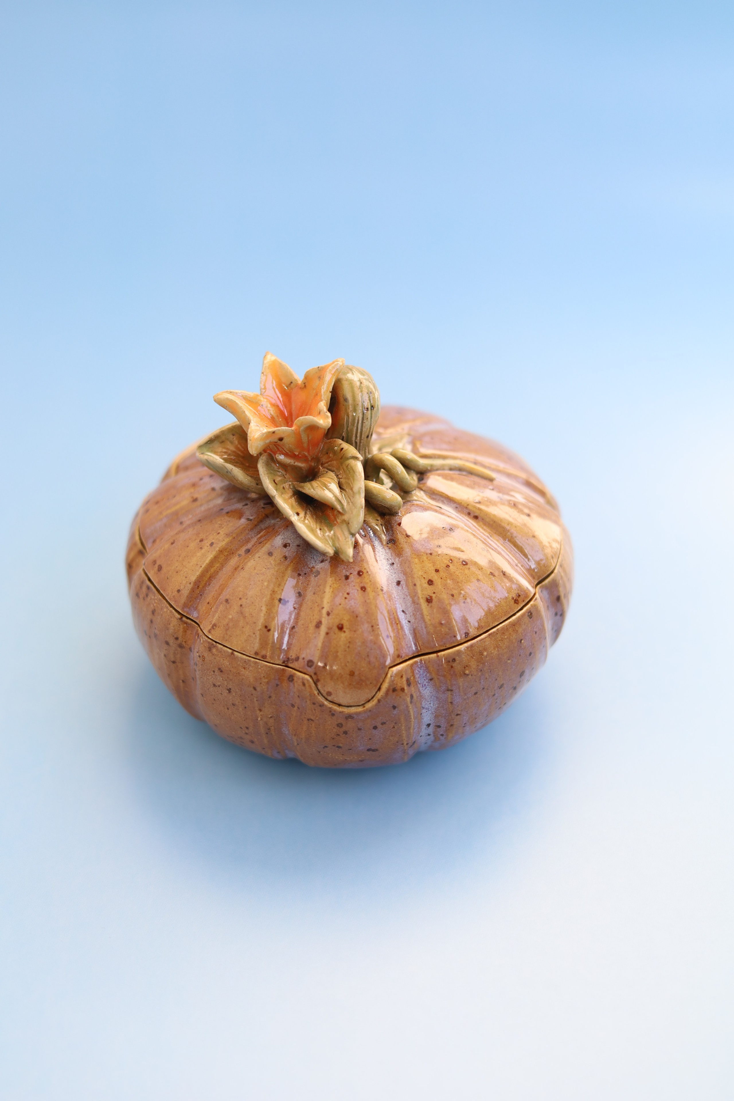 Тыквы. SAAVIK design — Керамика \ Зефирная флористика \Handmade\ Краснодар