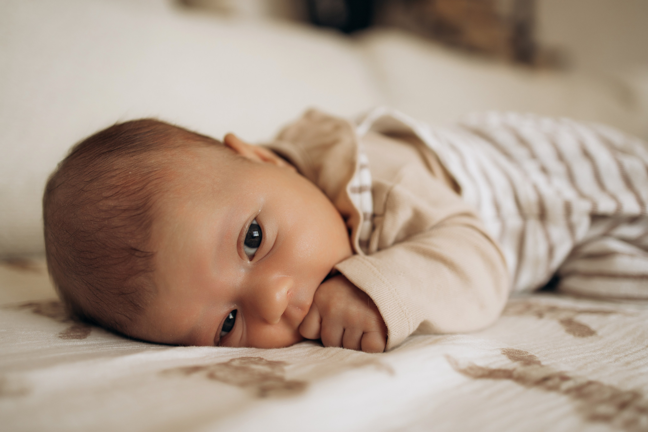 Семейная София. Самый теплый фотограф в Краснодаре Рябоконь Ксения