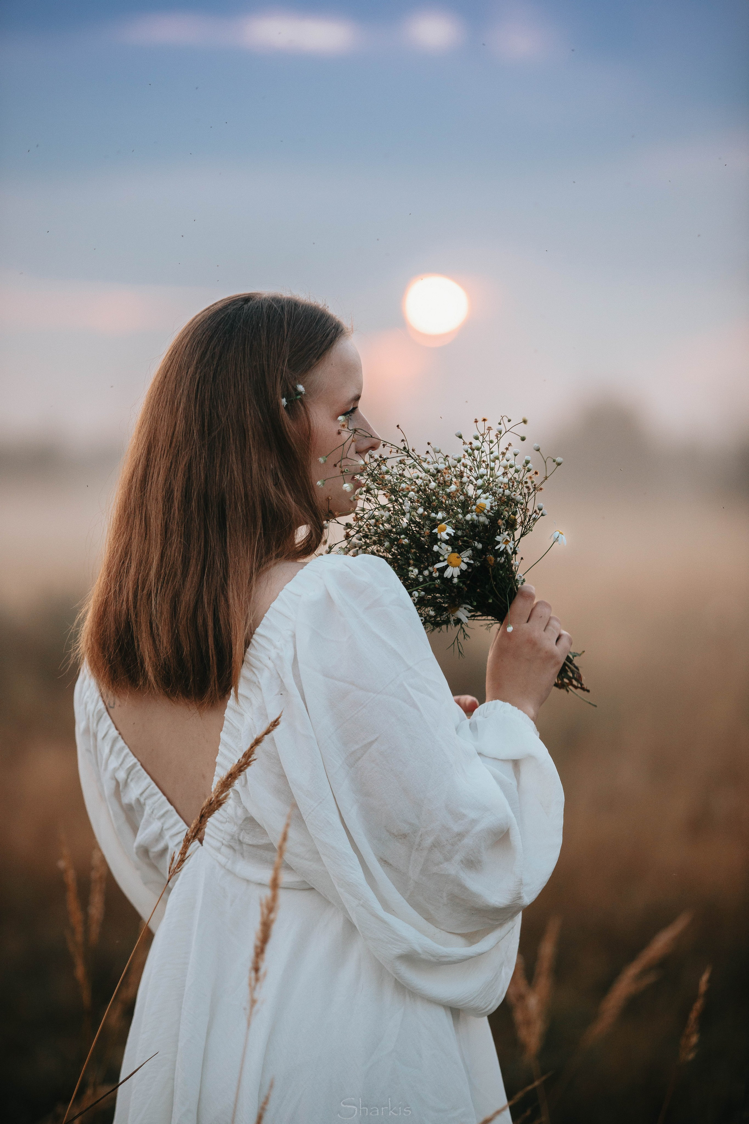 Аня и Гас. Главная