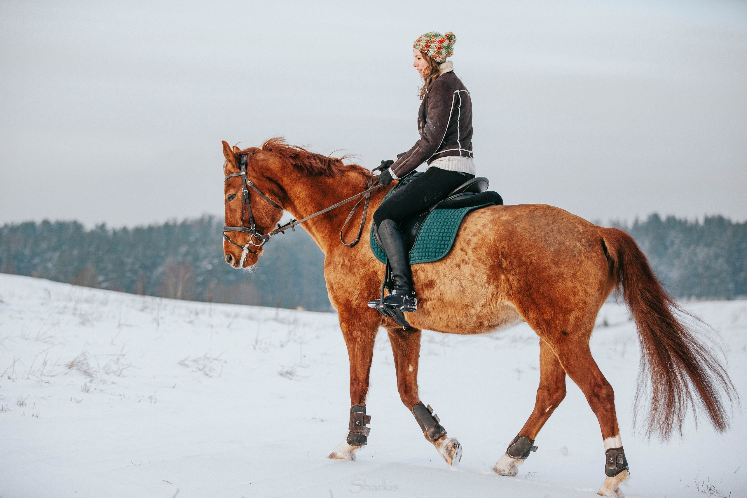 Ирина и Гепард. Фотограф Елизавета Филатова