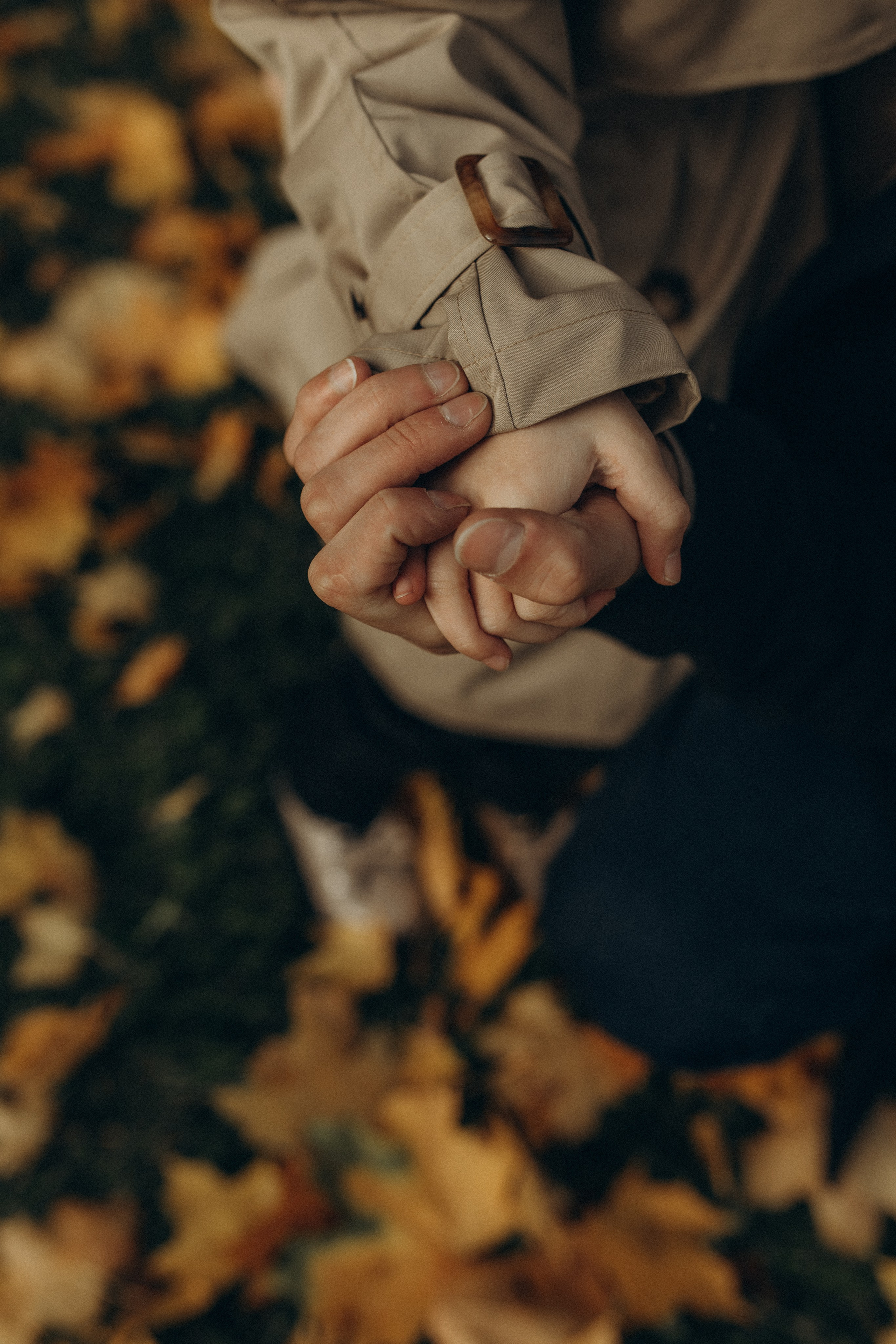 Елена, Владимир и Лея. Фотограф в Петербурге Ольга Стрельченко