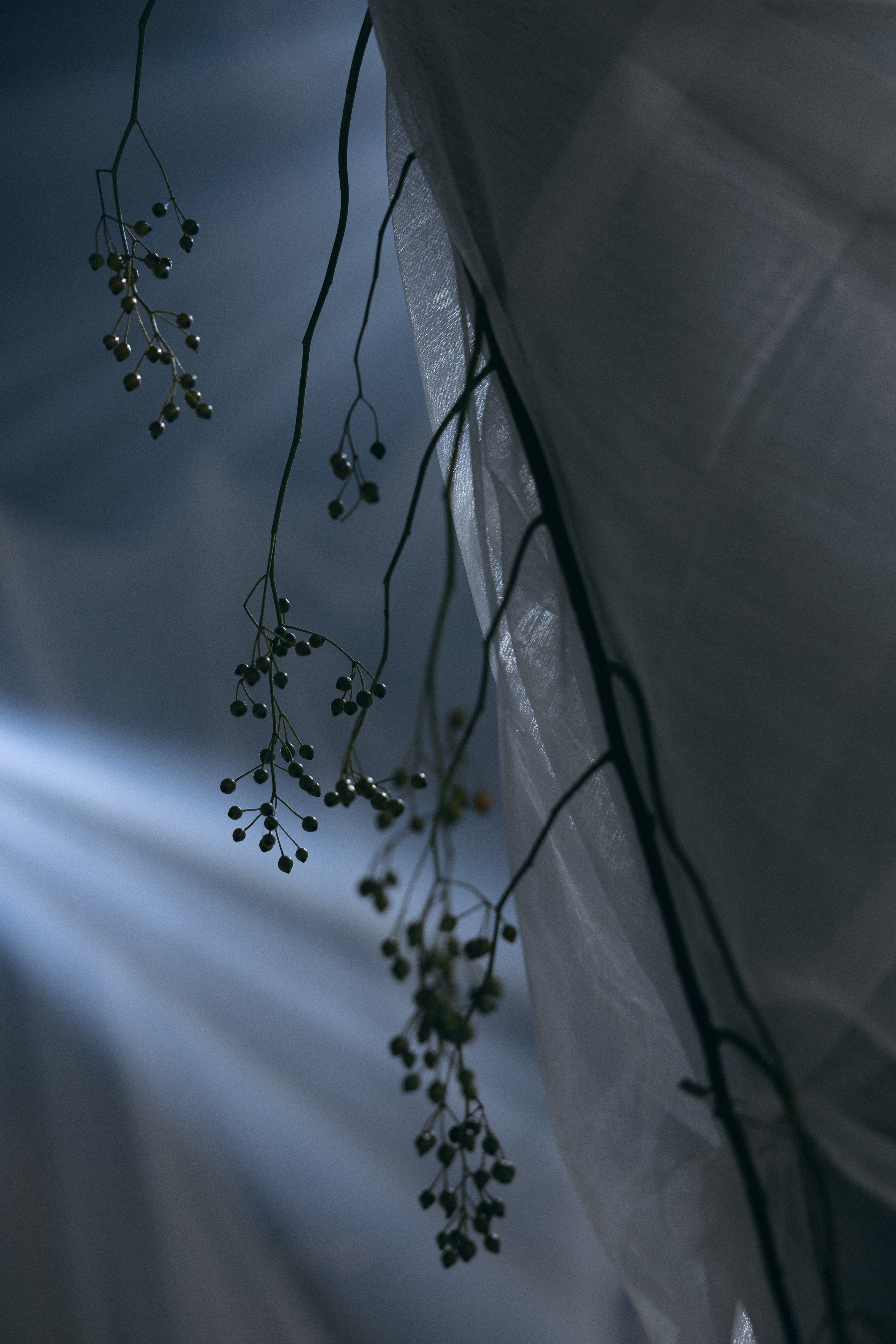 А|M. Свадебный фотограф Таня Караисаева