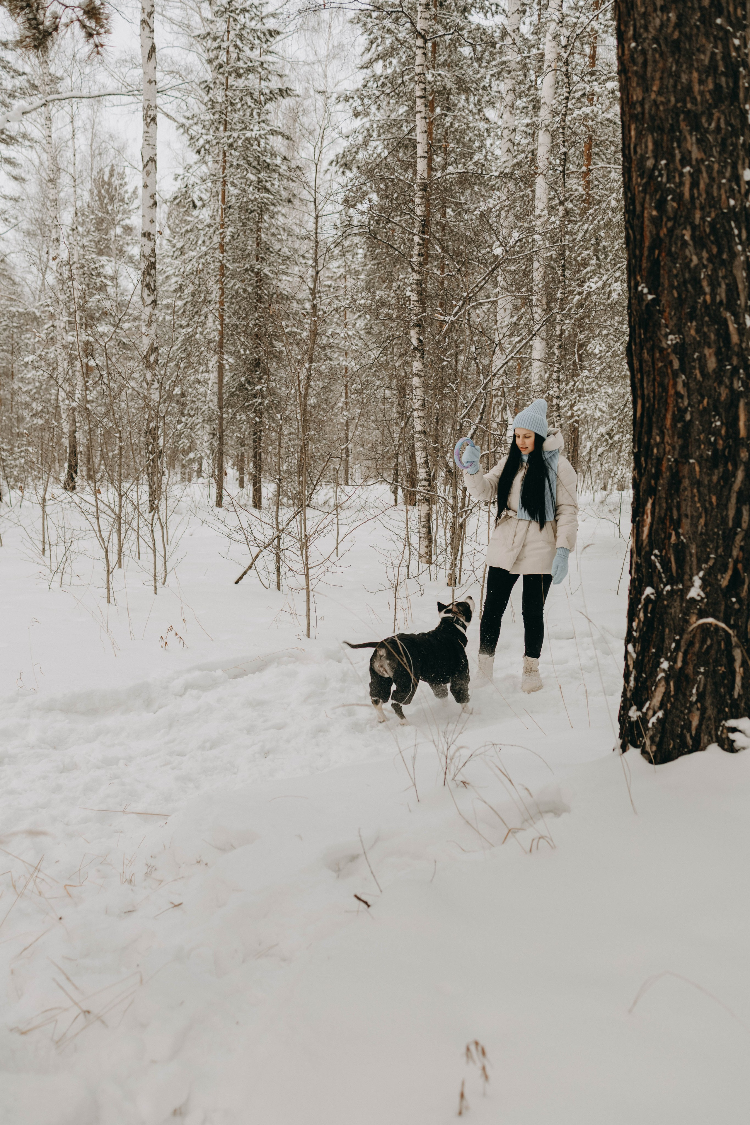 Даша и Шива. Фотограф-анималист в Екатеринбурге | Кристина