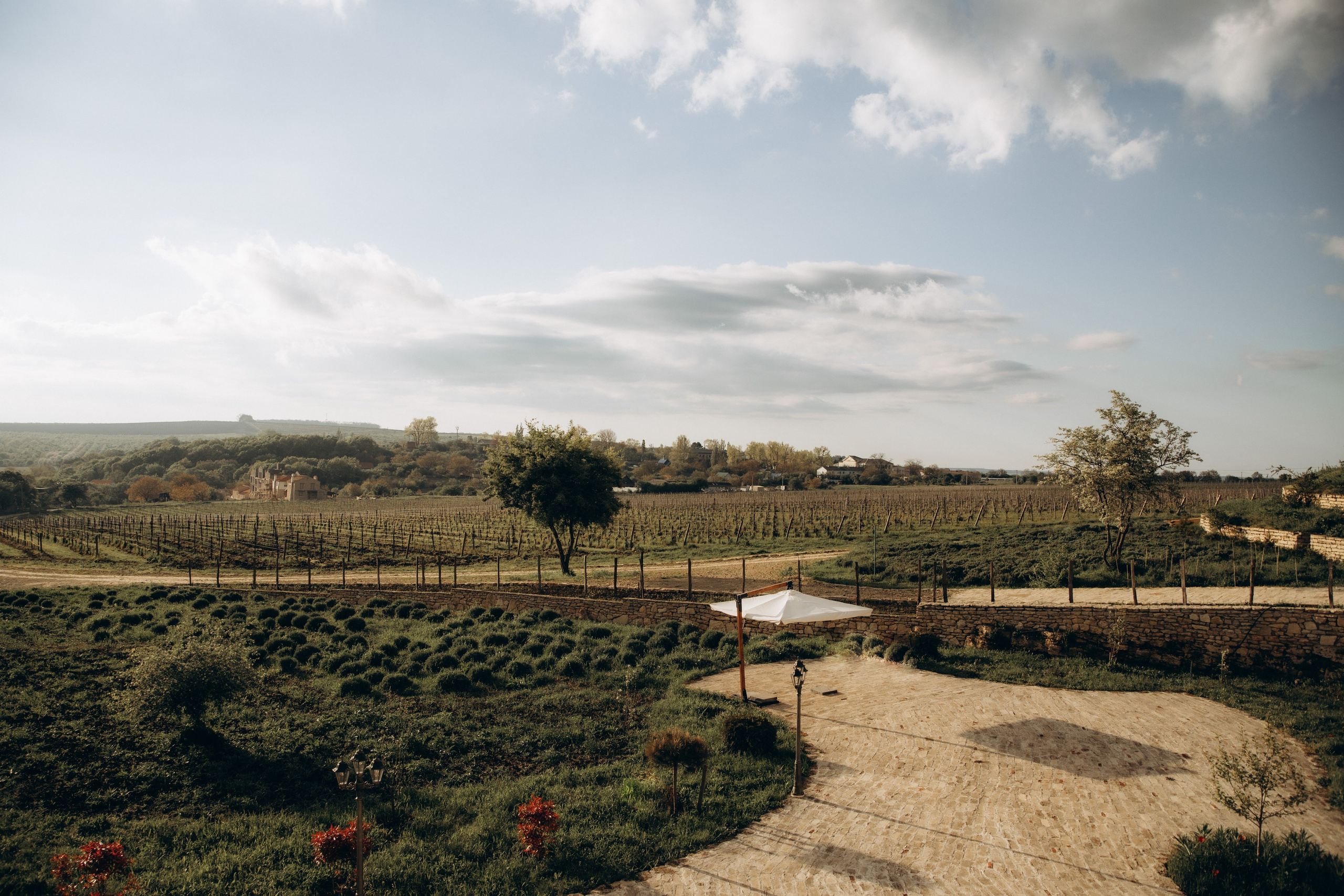 Рита и Дима. Свадебный и портретный фотограф в Москве Анна Плавская