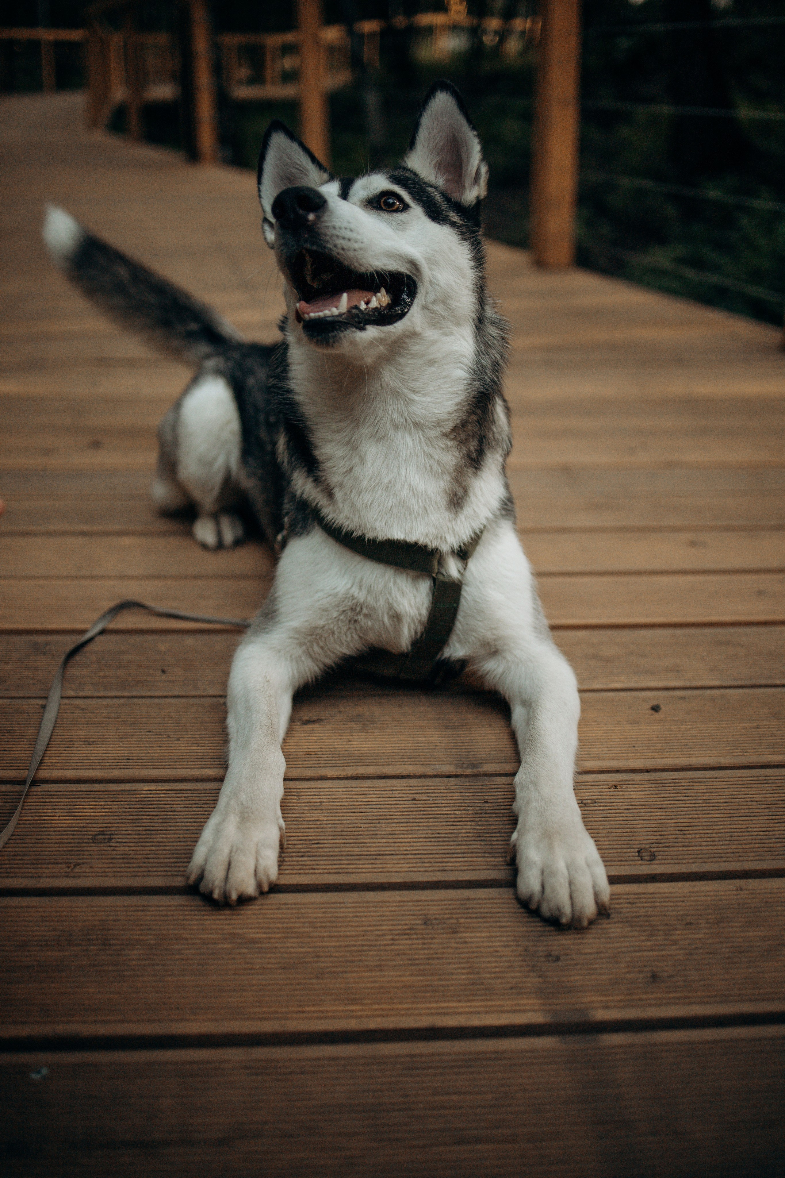 Феня и его семья