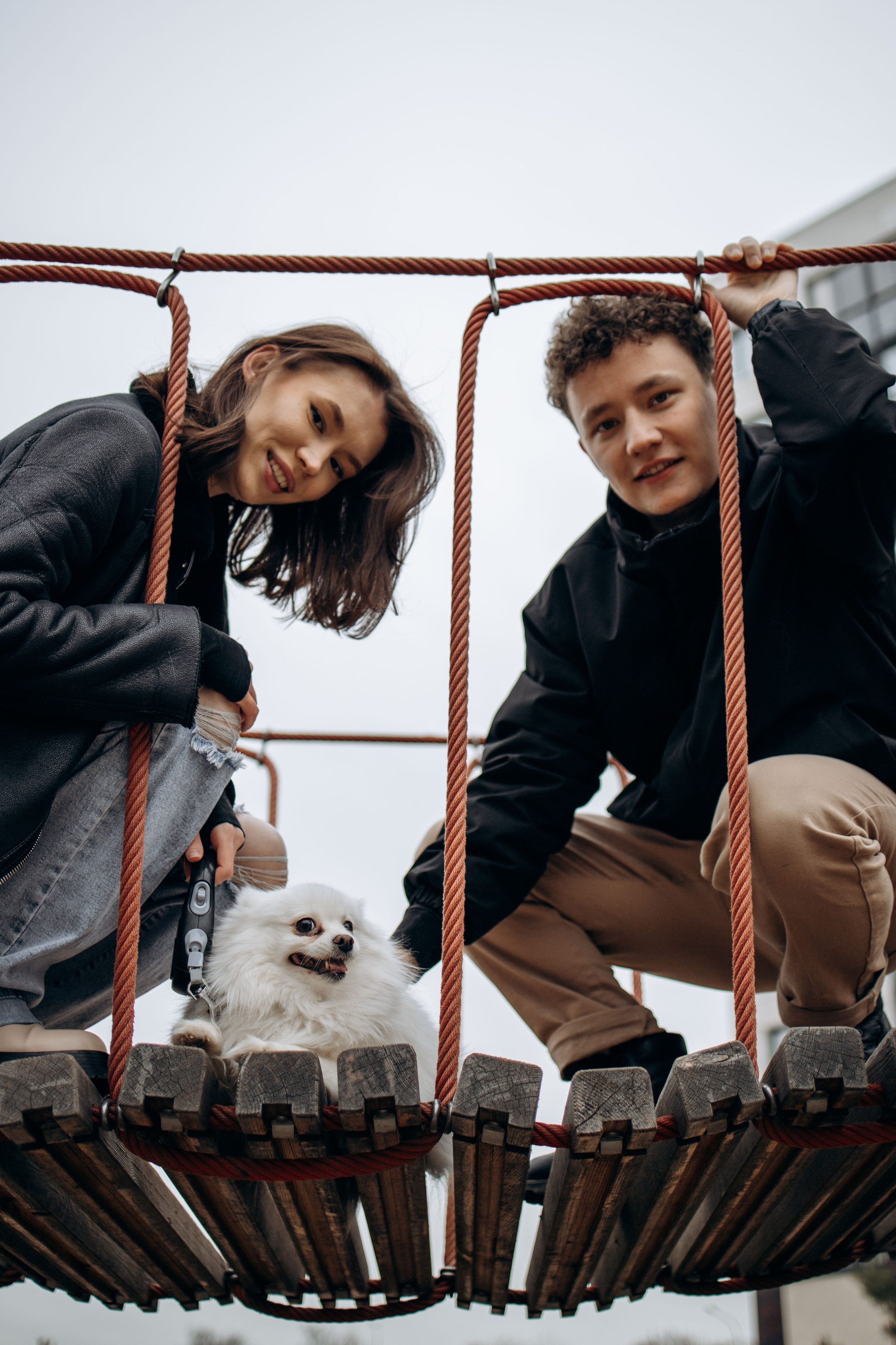 Шпиц Мася и ее семья