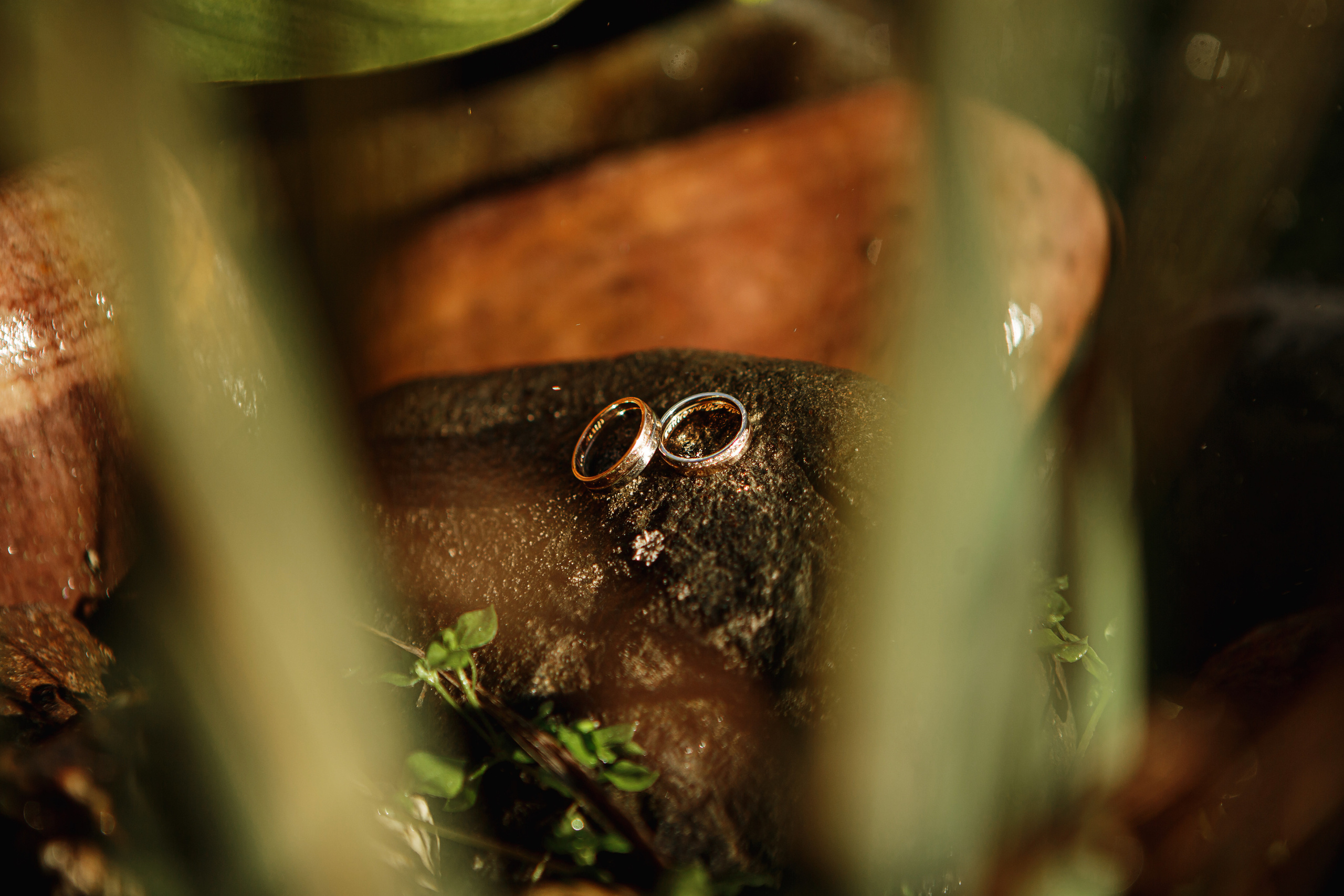 Екатерина & Алексей. Фотограф Артём Синицын