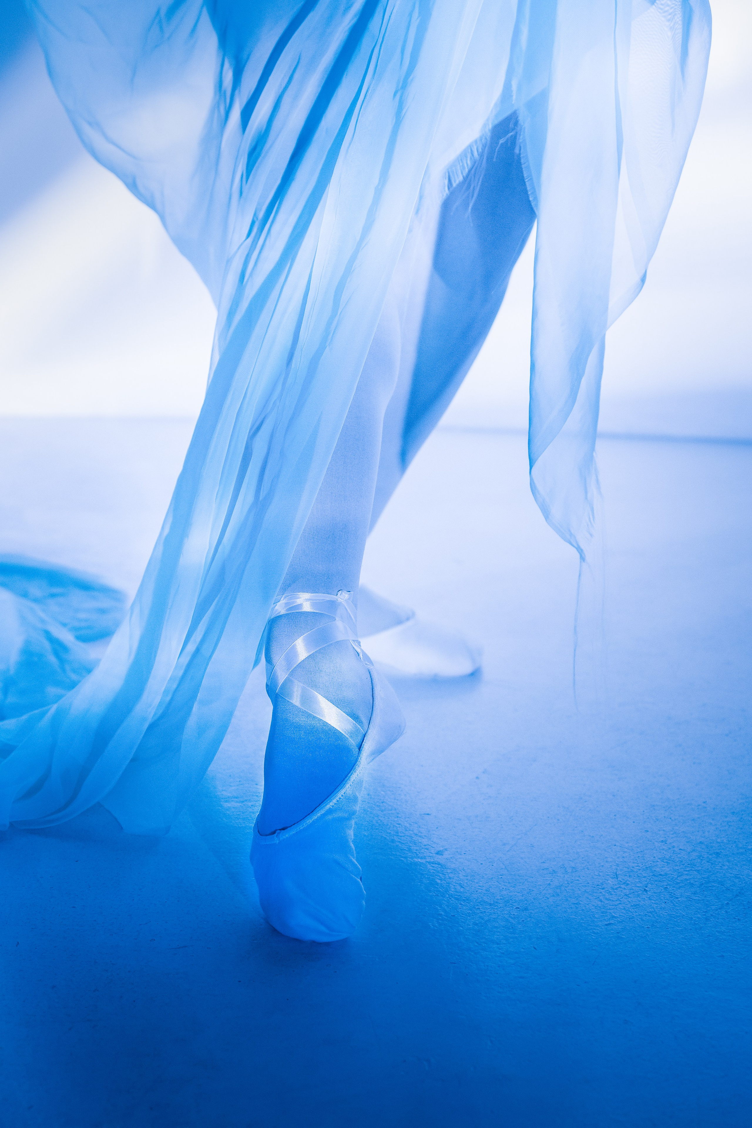 Лилия. Художественная фотография