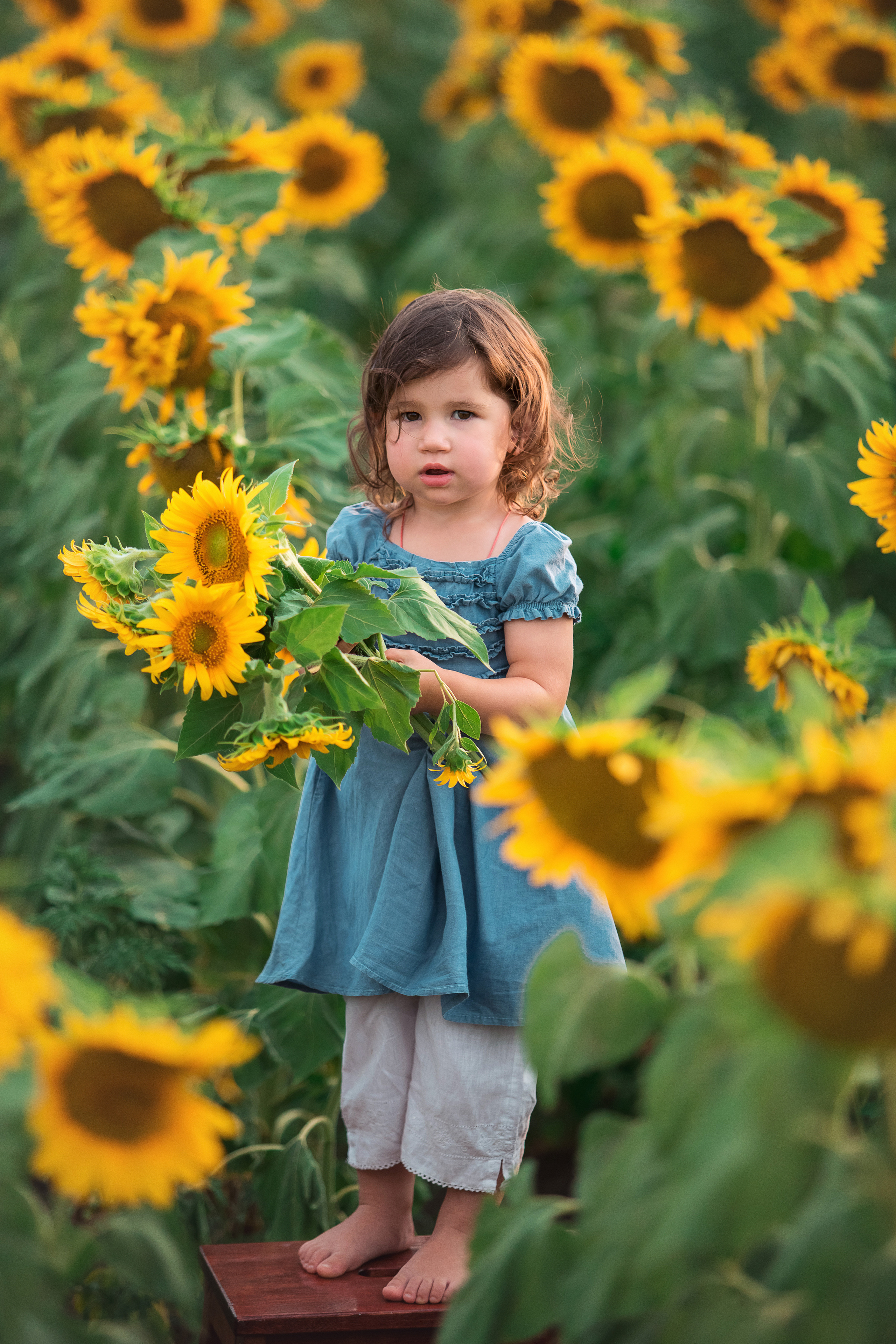 ПОРТФОЛИО. Профессиональный семейный и детский фотограф Наталья Мирошниченко