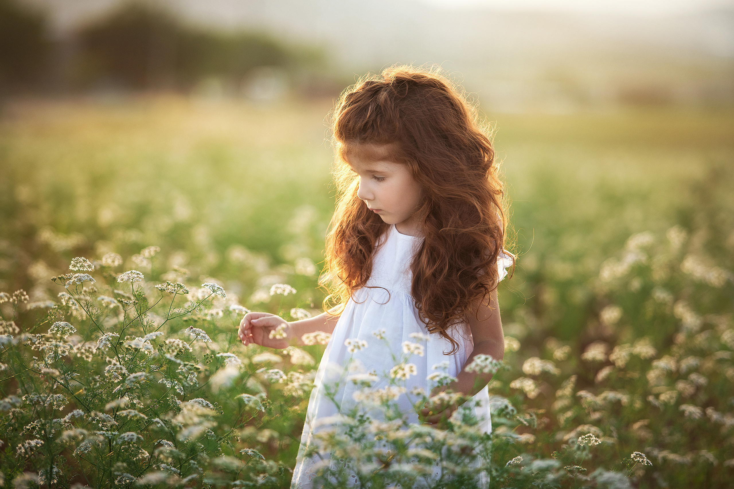 ПОРТФОЛИО. Профессиональный семейный и детский фотограф Наталья Мирошниченко
