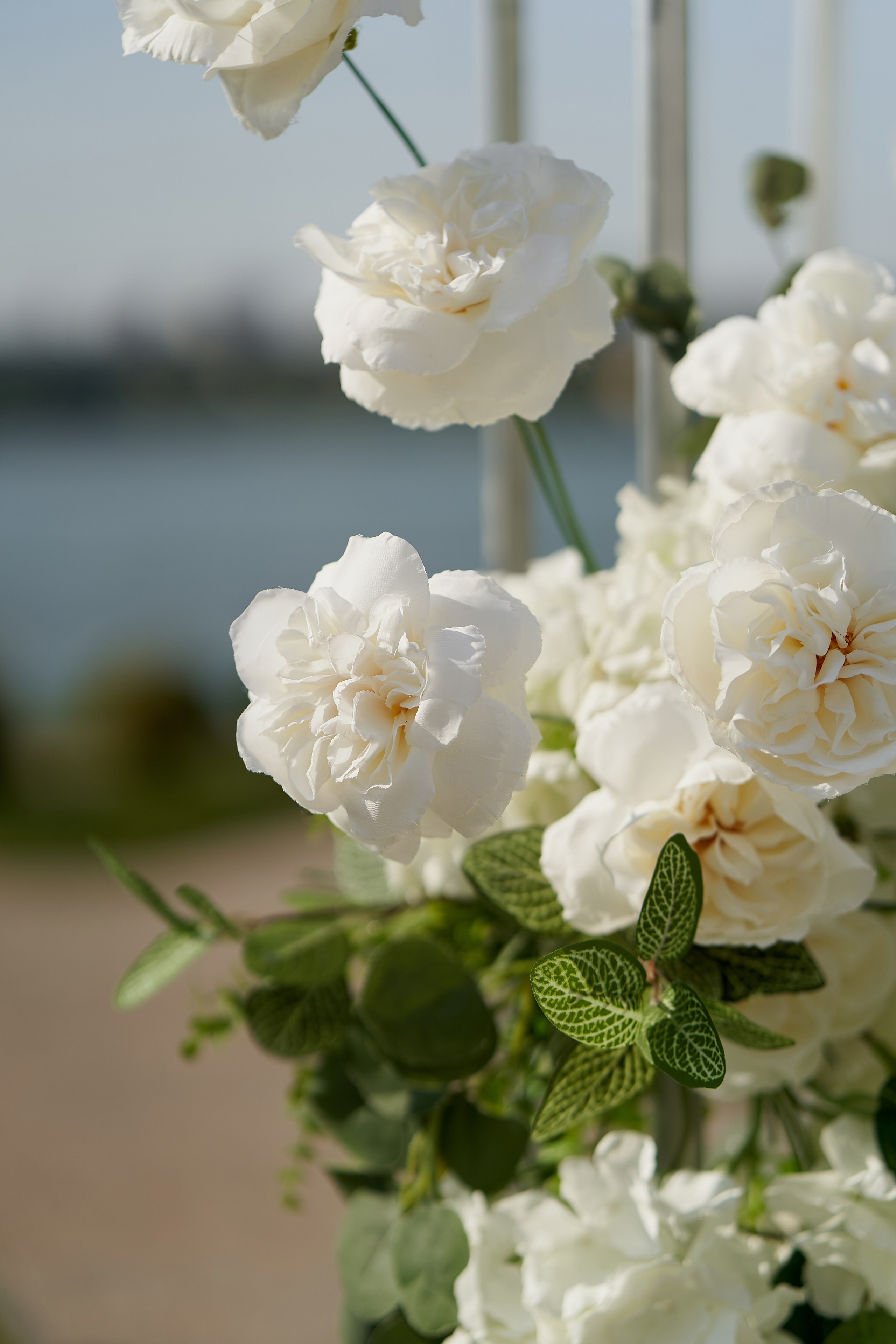 Алина и Дима. Фотограф Александра Лазарева