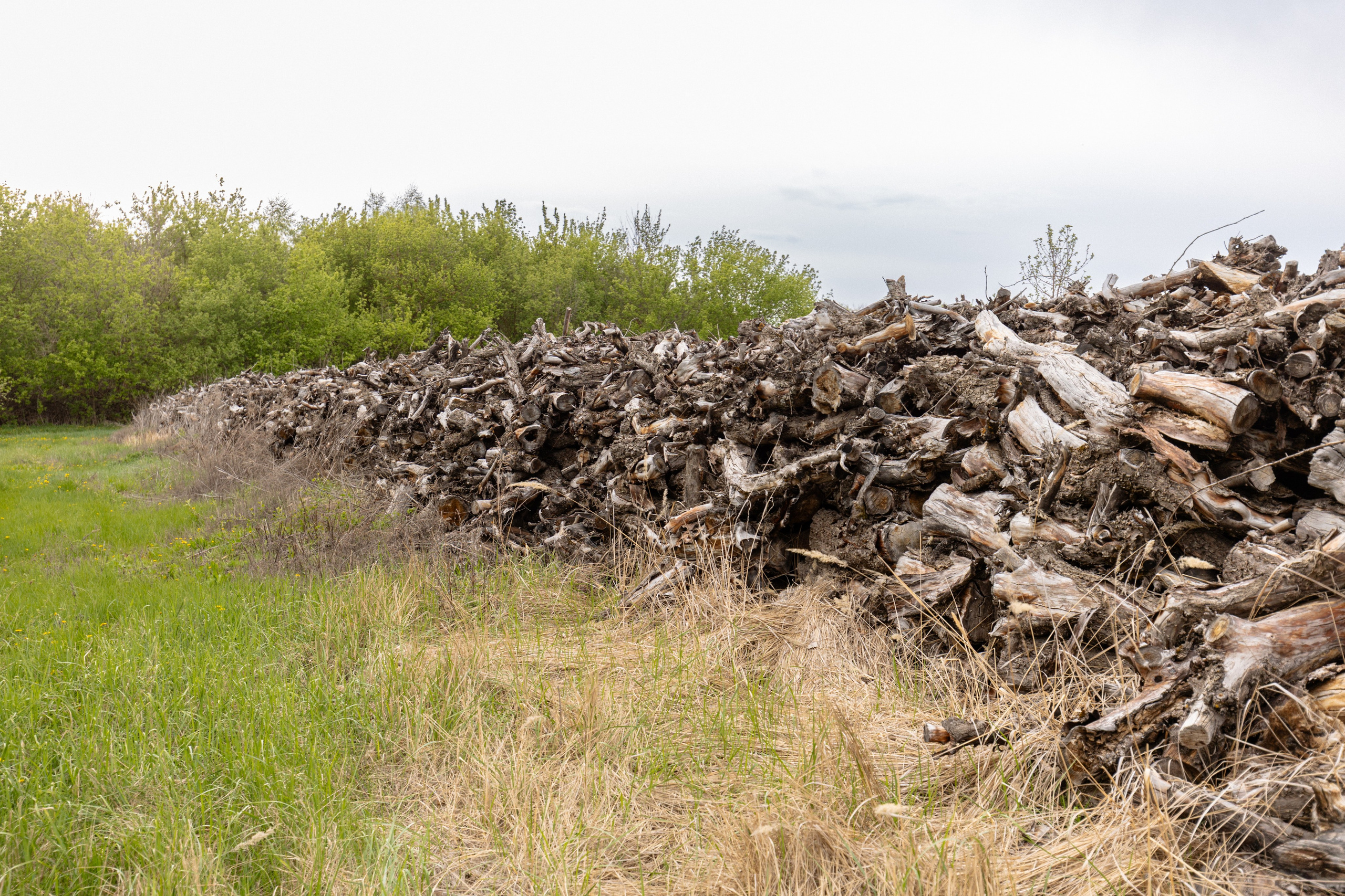 Приусадебный участок. Владислав Волков | Фотография и видеосъемка в Воронеже