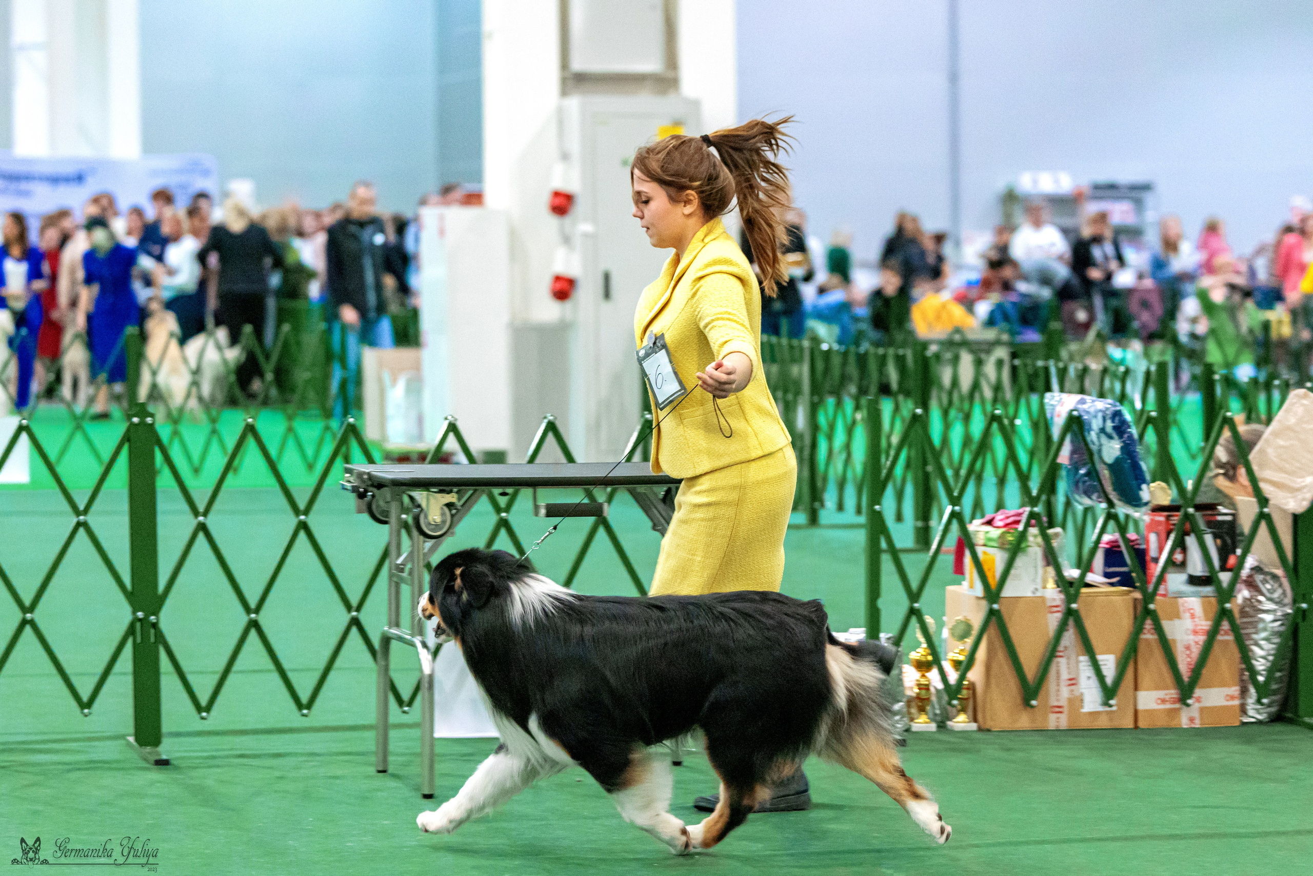 Сфера 29.10,Крокус 4.11,Сфера 12.11.2023. Фотограф-анималист Юлия Германика