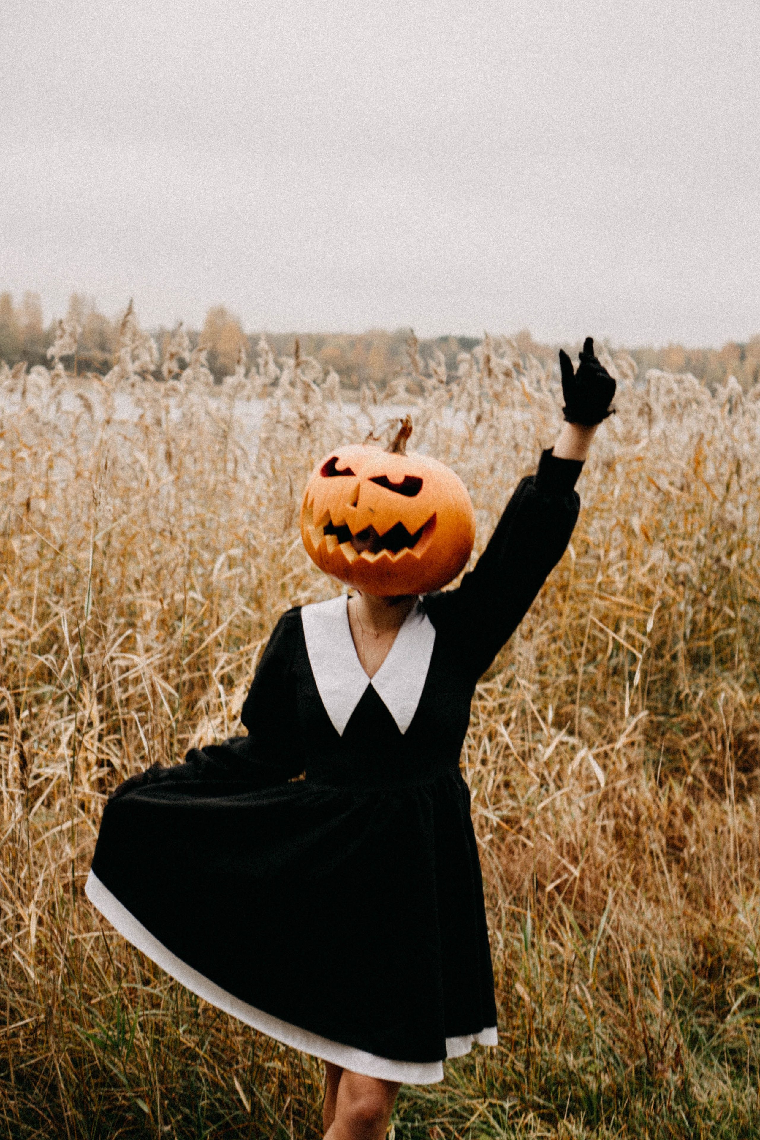 Осеняя. Профессиональный фотограф, Санкт-Петербург — Виктория Богомолова