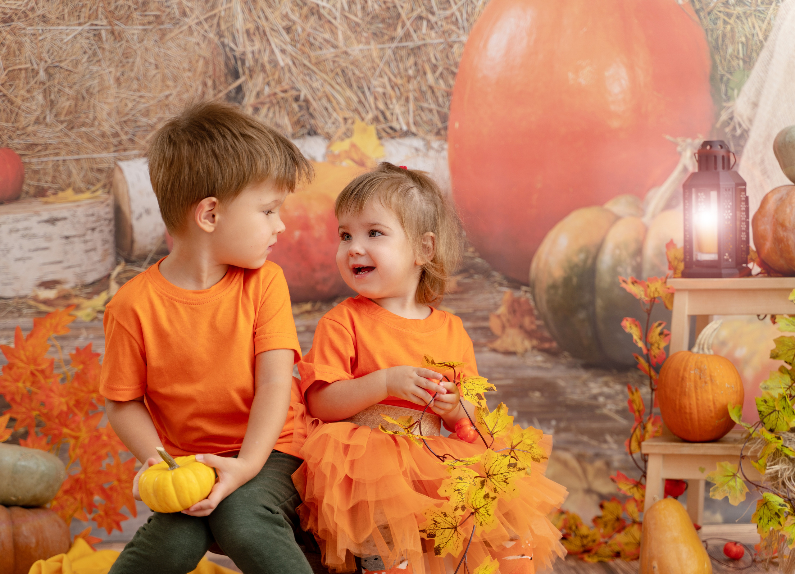 Осенний урожай. Детская выездная фотостудия. Фотограф новорождённых newborn, годовасие