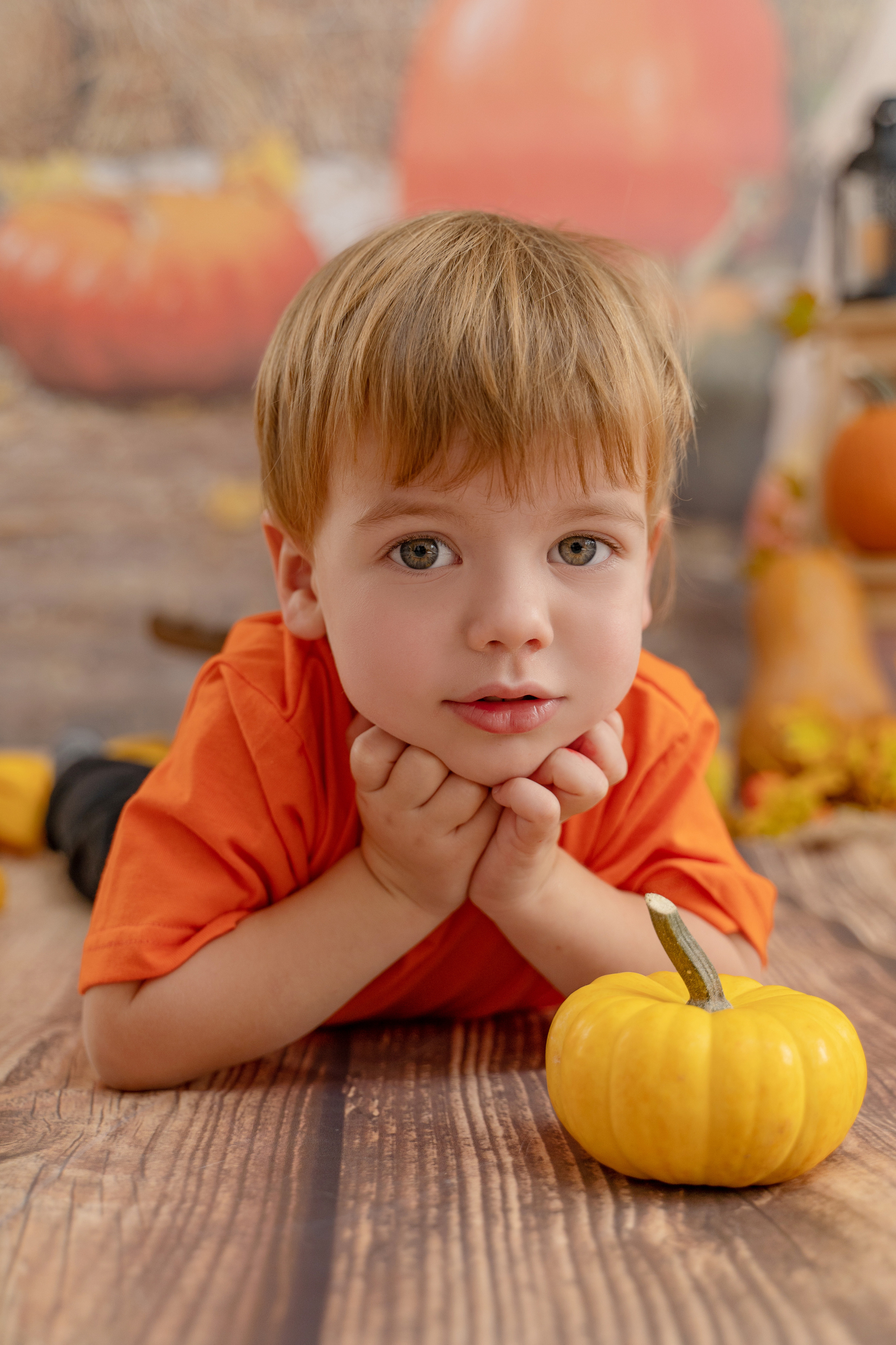 Осенний урожай. Детская выездная фотостудия. Фотограф новорождённых newborn, годовасие