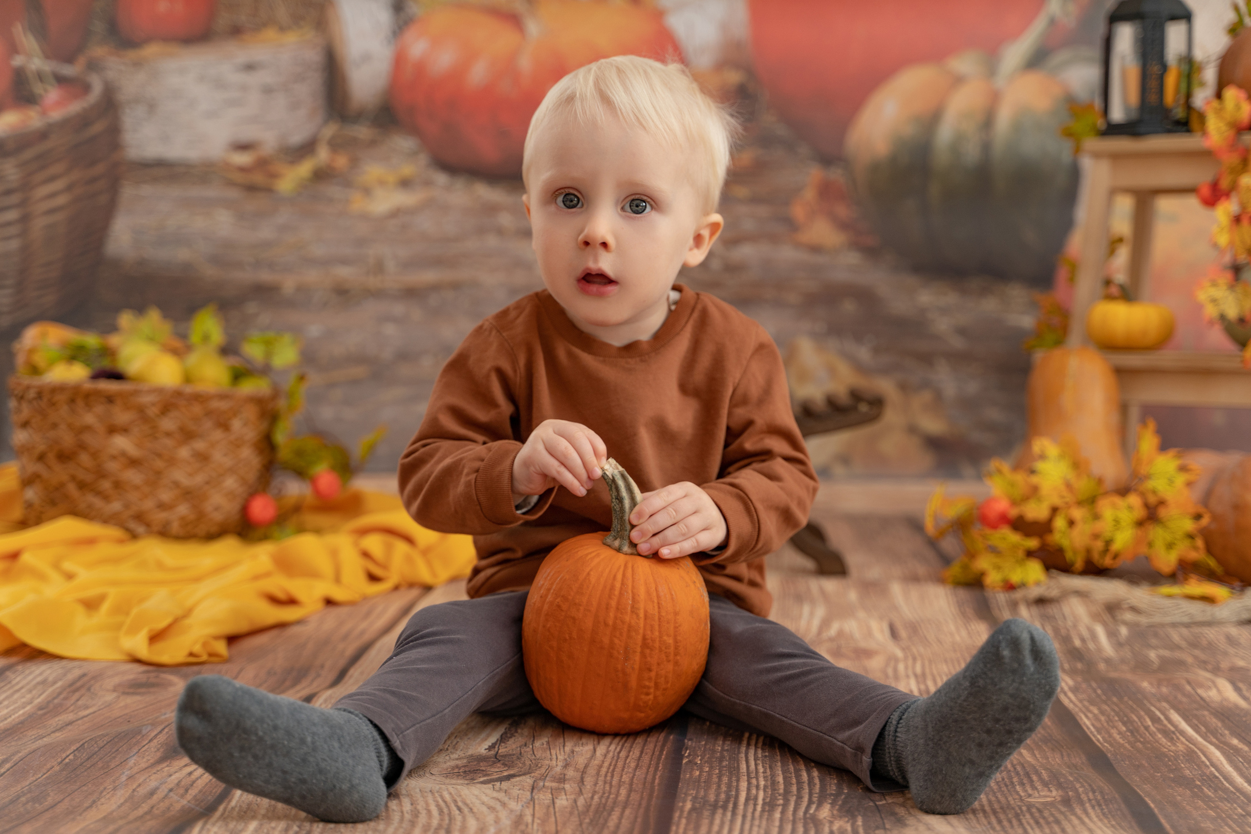 Осенний урожай. Детская выездная фотостудия. Фотограф новорождённых newborn, годовасие