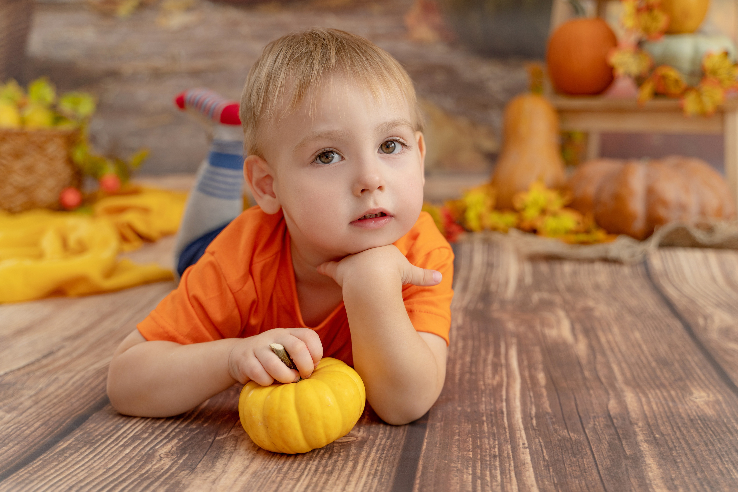 Осенний урожай. Детская выездная фотостудия. Фотограф новорождённых newborn, годовасие