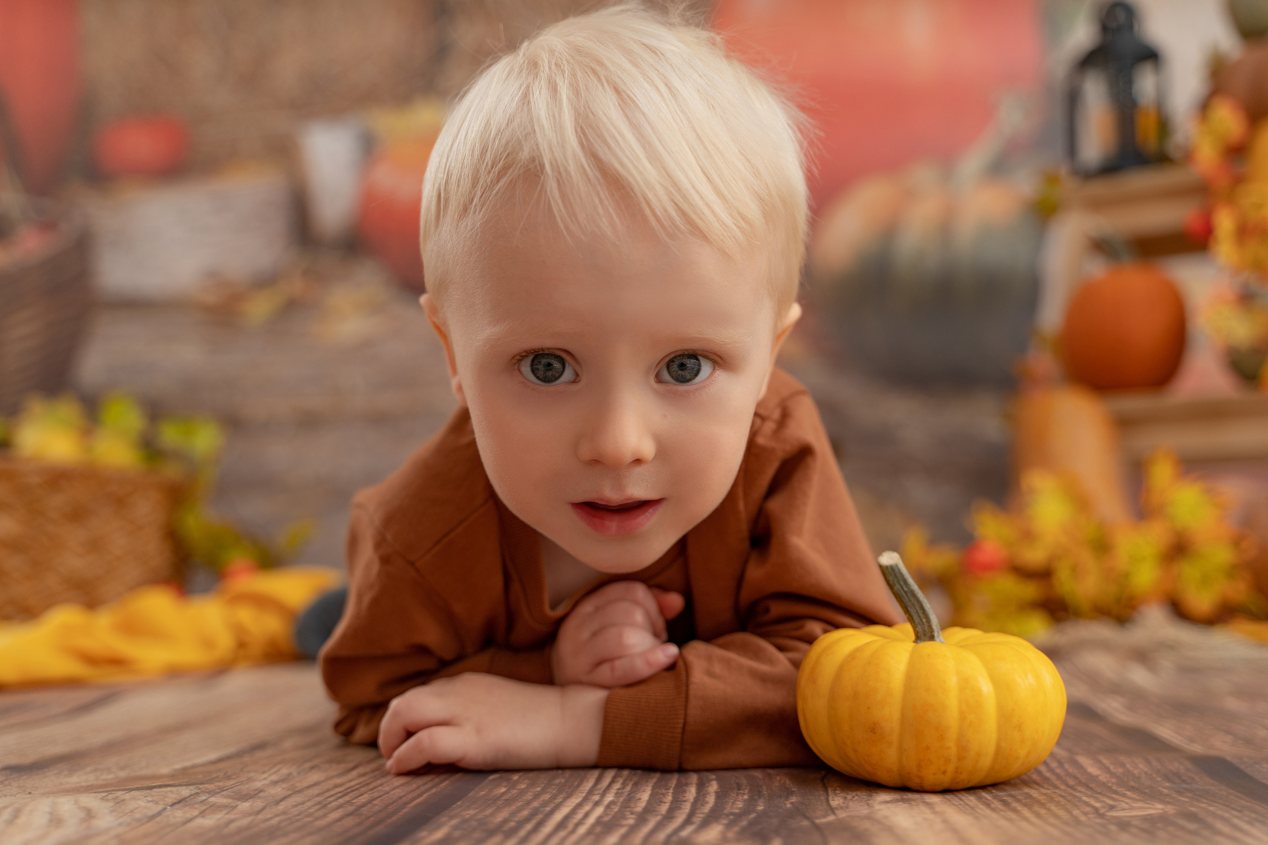 Осенний урожай