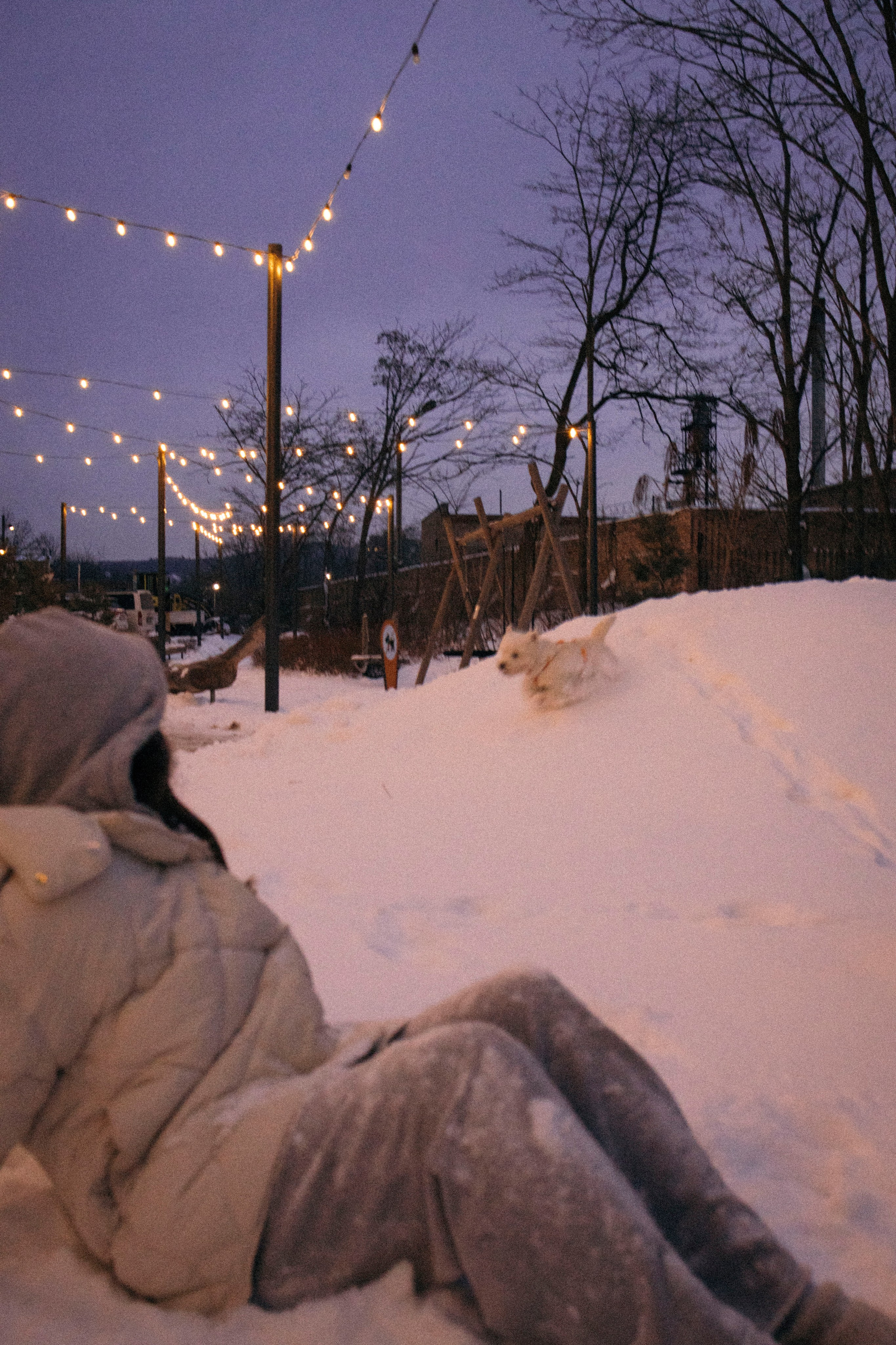 Арина и Обеликс. Фотограф Виктория Куприянова