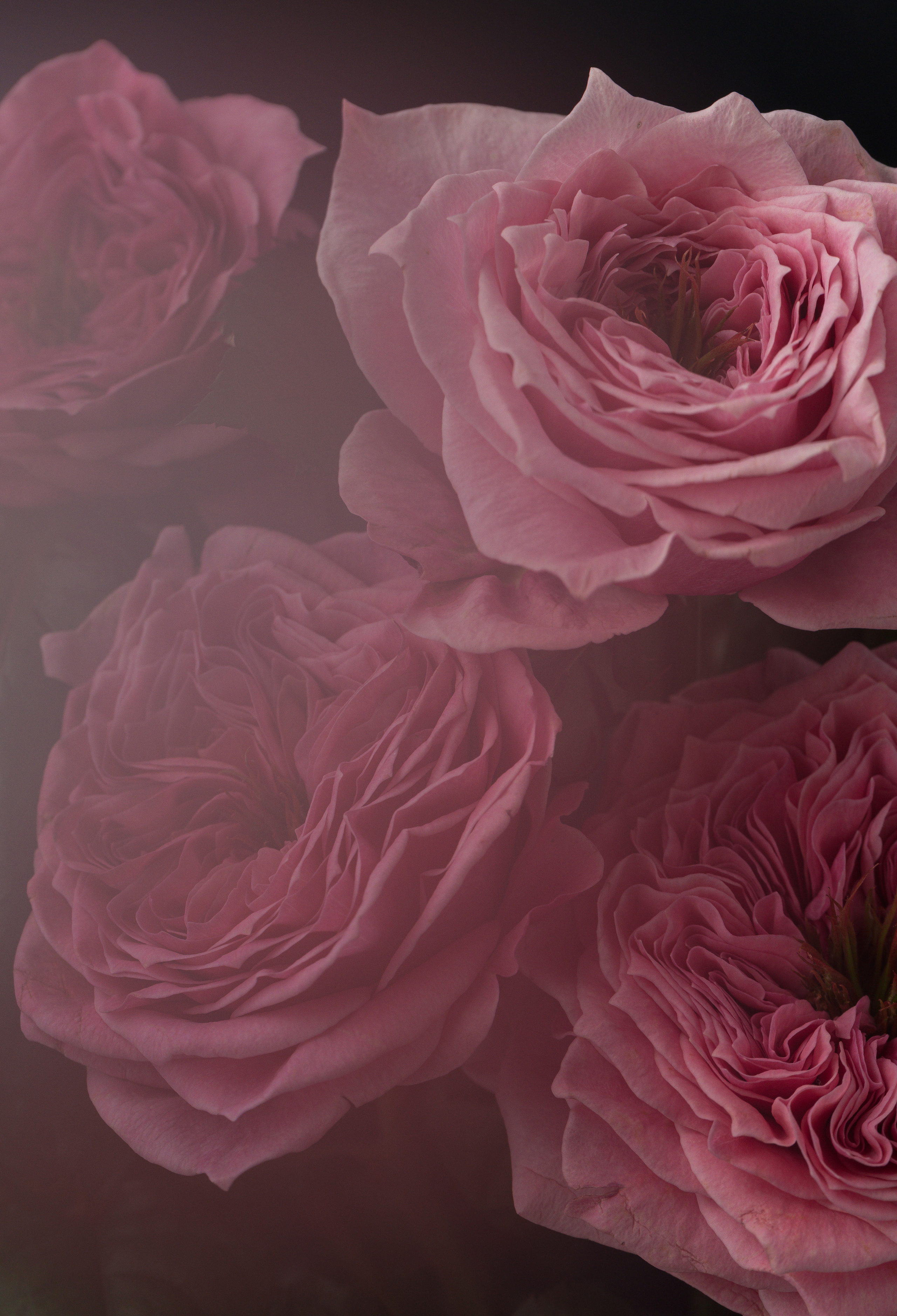 Product. Commercial product and food photographer, retoucher Belgrade, Serbia