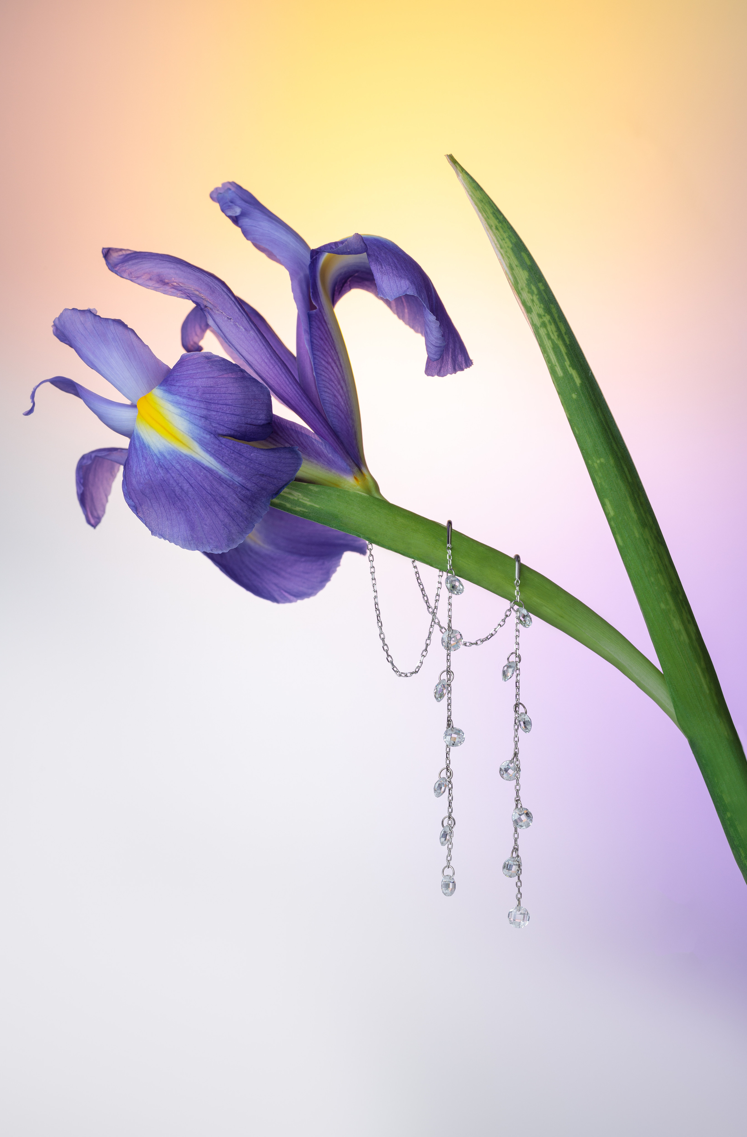 Product. Commercial product and food photographer, retoucher Belgrade, Serbia