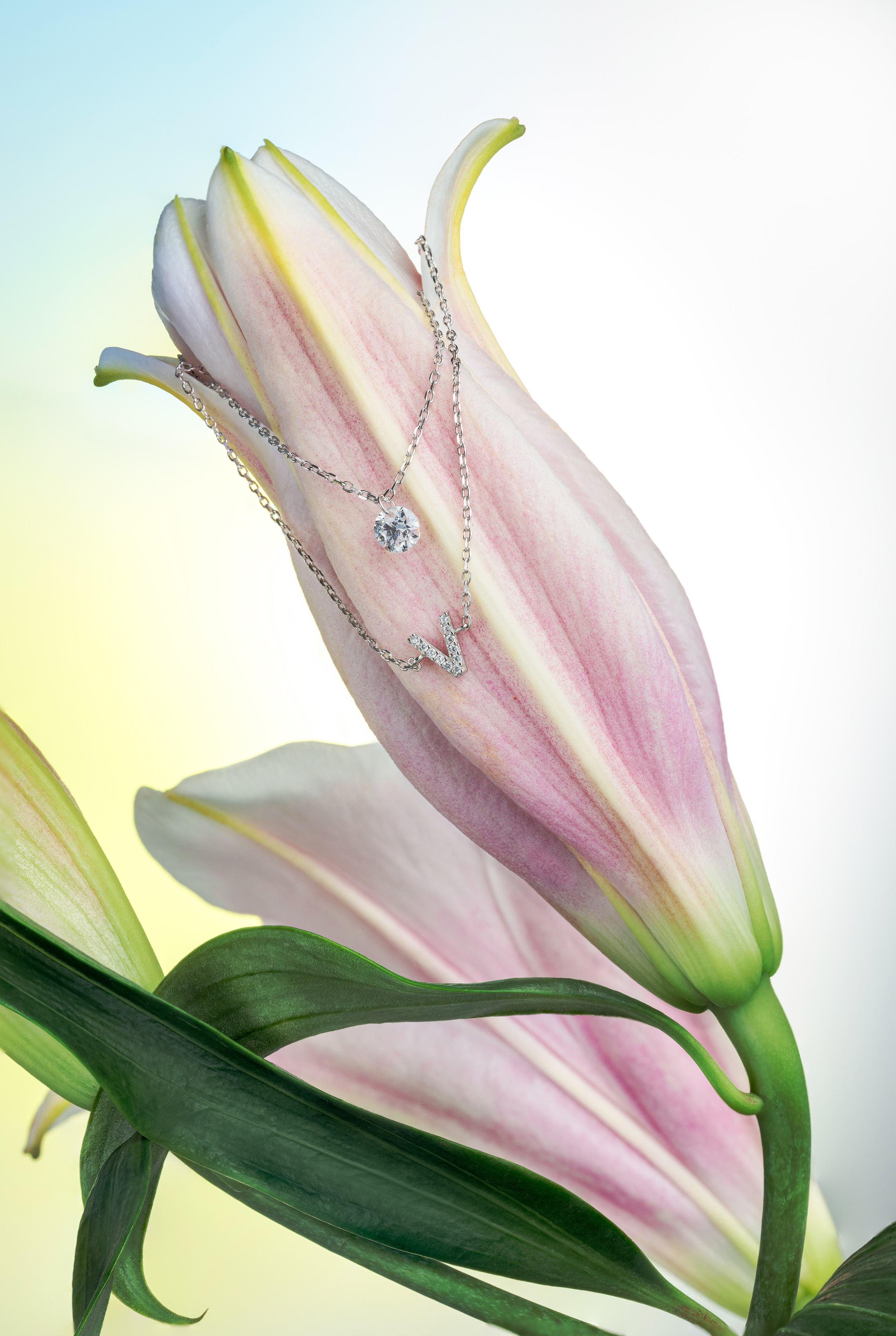 Product. Commercial product and food photographer, retoucher Belgrade, Serbia